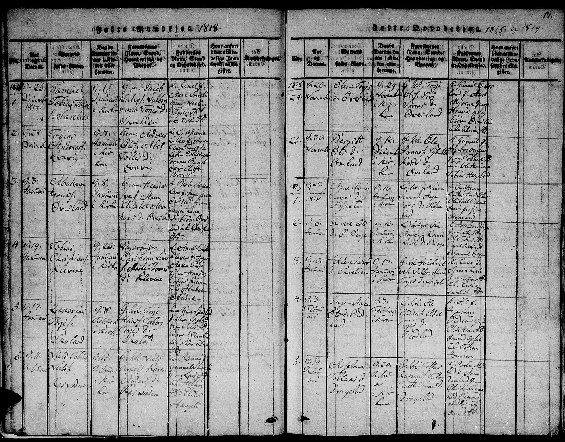 Lyngdal sokneprestkontor, AV/SAK-1111-0029/F/Fb/Fbc/L0001: Parish register (copy) no. B 1, 1815-1844, p. 17