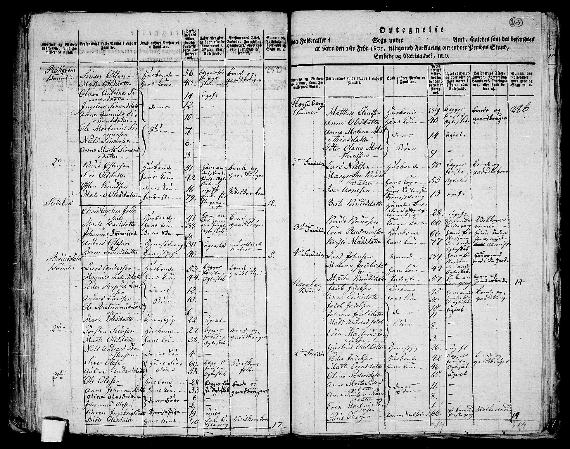 RA, 1801 census for 1531P Borgund, 1801, p. 264b-265a