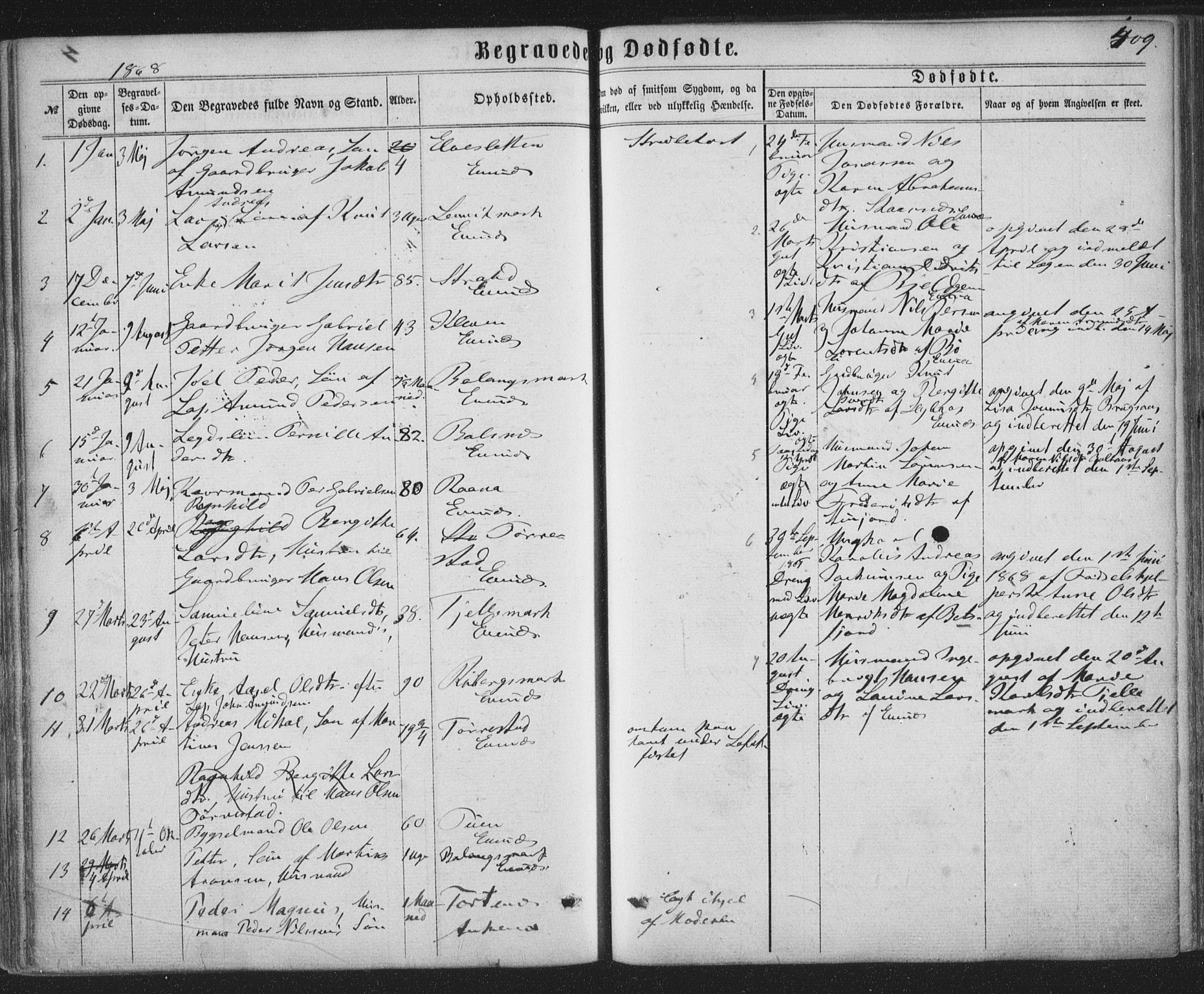 Ministerialprotokoller, klokkerbøker og fødselsregistre - Nordland, SAT/A-1459/863/L0896: Parish register (official) no. 863A08, 1861-1871, p. 409