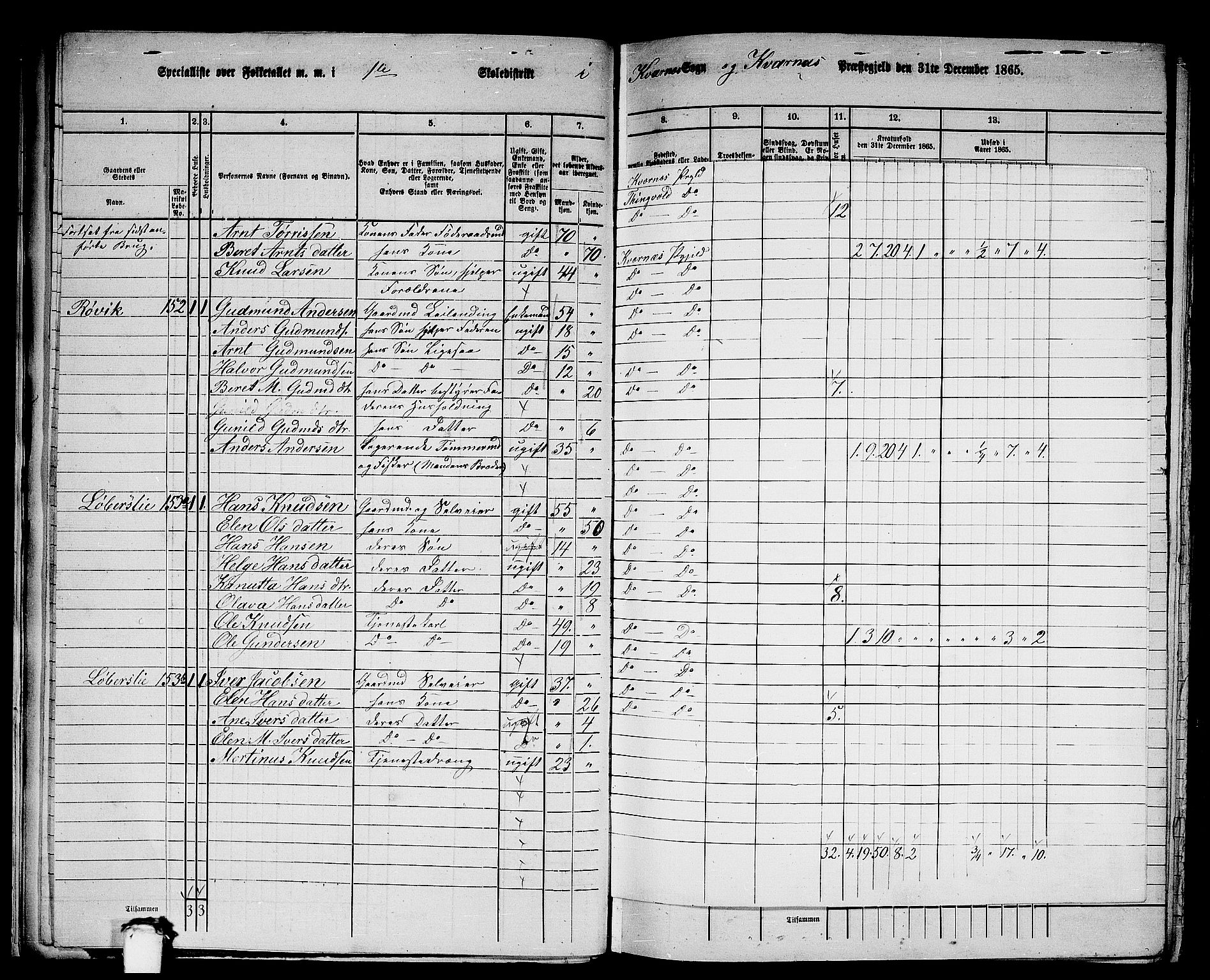 RA, 1865 census for Kvernes, 1865, p. 23