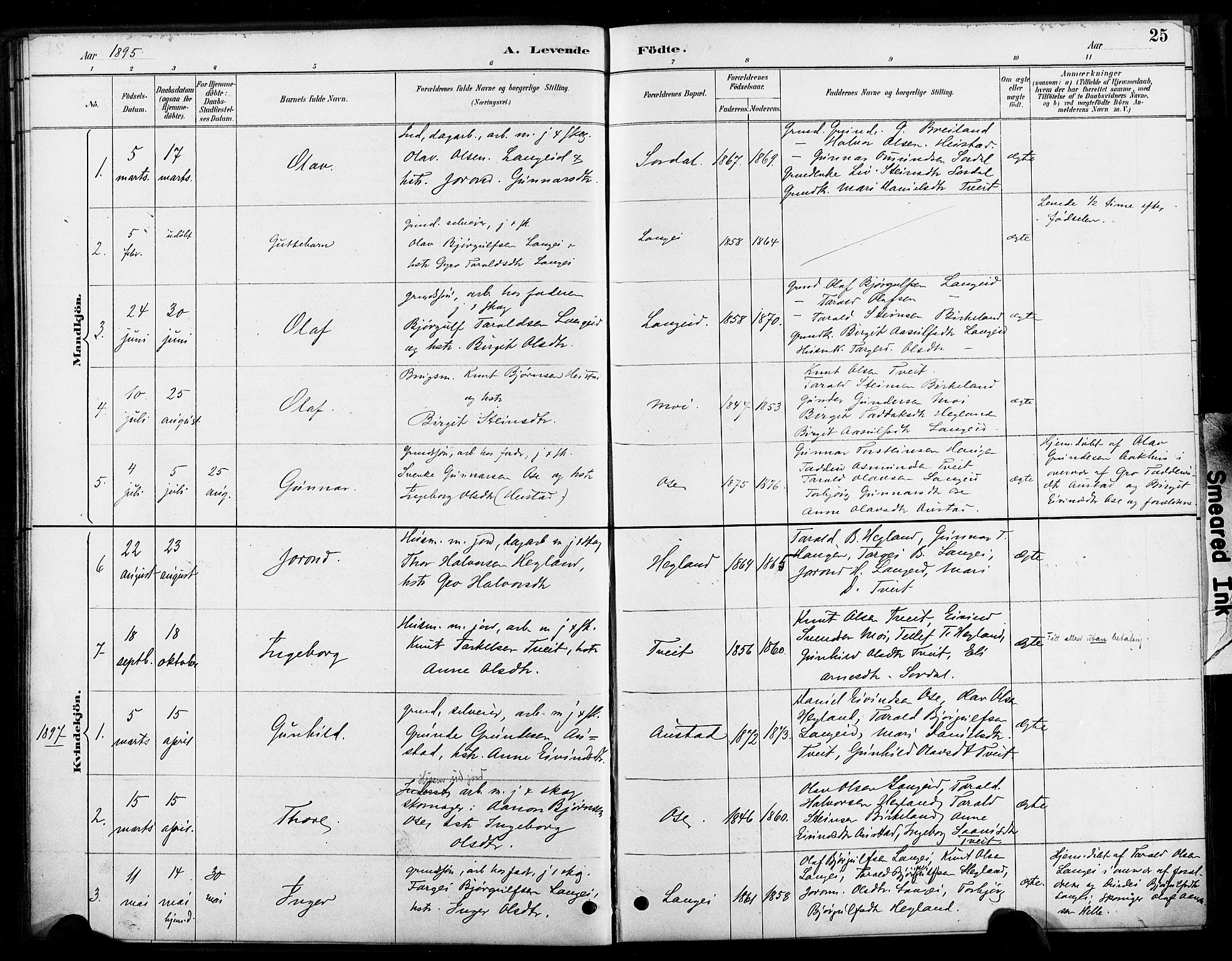Bygland sokneprestkontor, SAK/1111-0006/F/Fa/Faa/L0001: Parish register (official) no. A 1, 1885-1908, p. 25