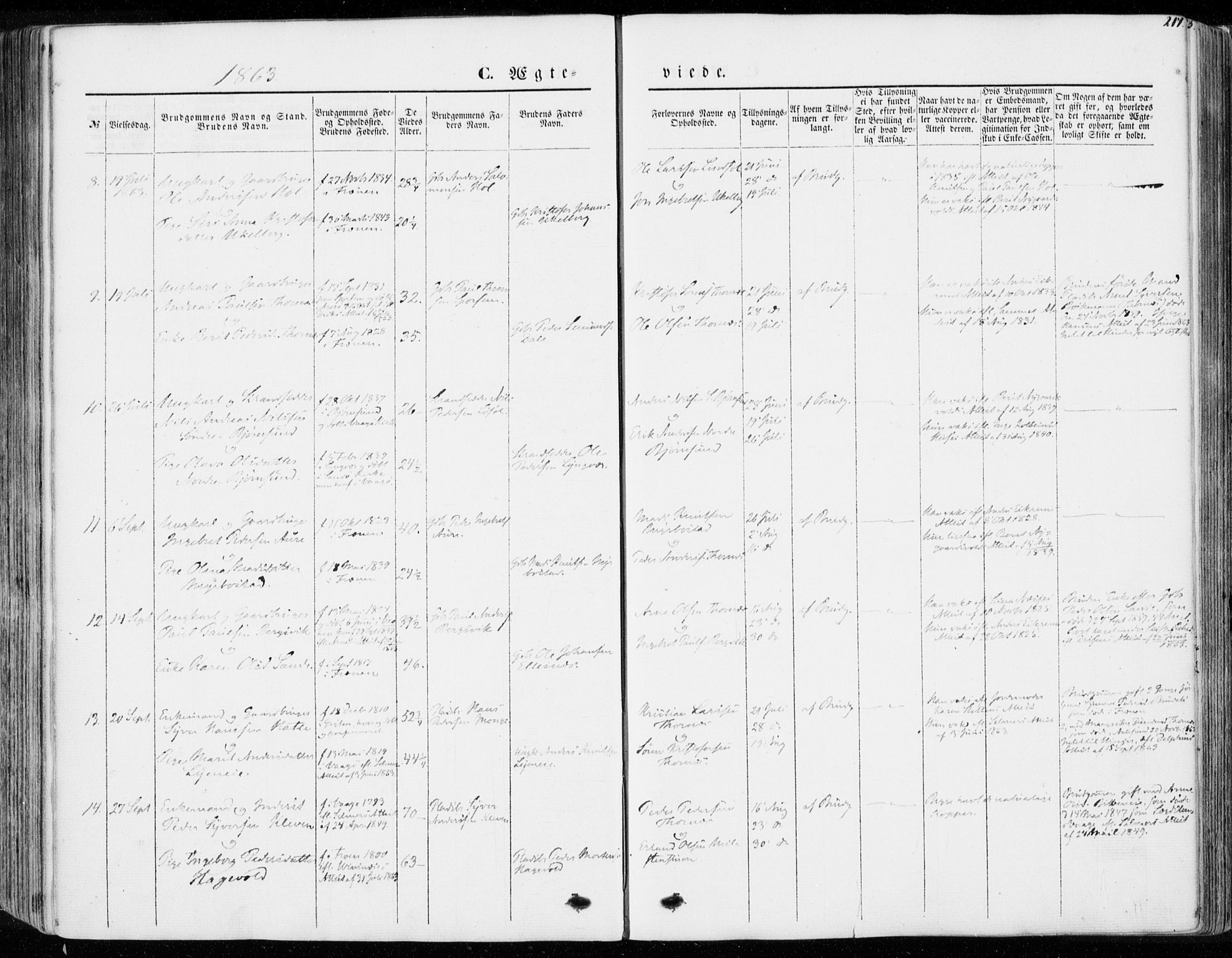 Ministerialprotokoller, klokkerbøker og fødselsregistre - Møre og Romsdal, SAT/A-1454/565/L0748: Parish register (official) no. 565A02, 1845-1872, p. 217