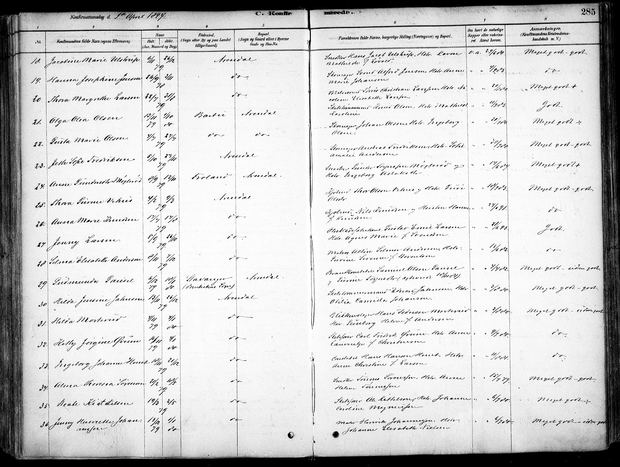 Arendal sokneprestkontor, Trefoldighet, AV/SAK-1111-0040/F/Fa/L0008: Parish register (official) no. A 8, 1878-1899, p. 285