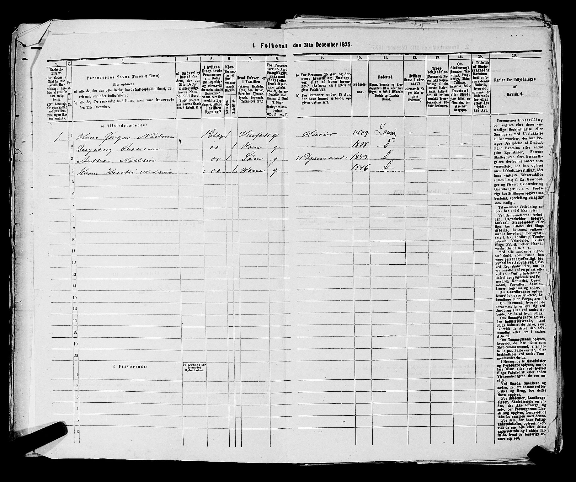 SAKO, 1875 census for 0707P Larvik, 1875, p. 1124