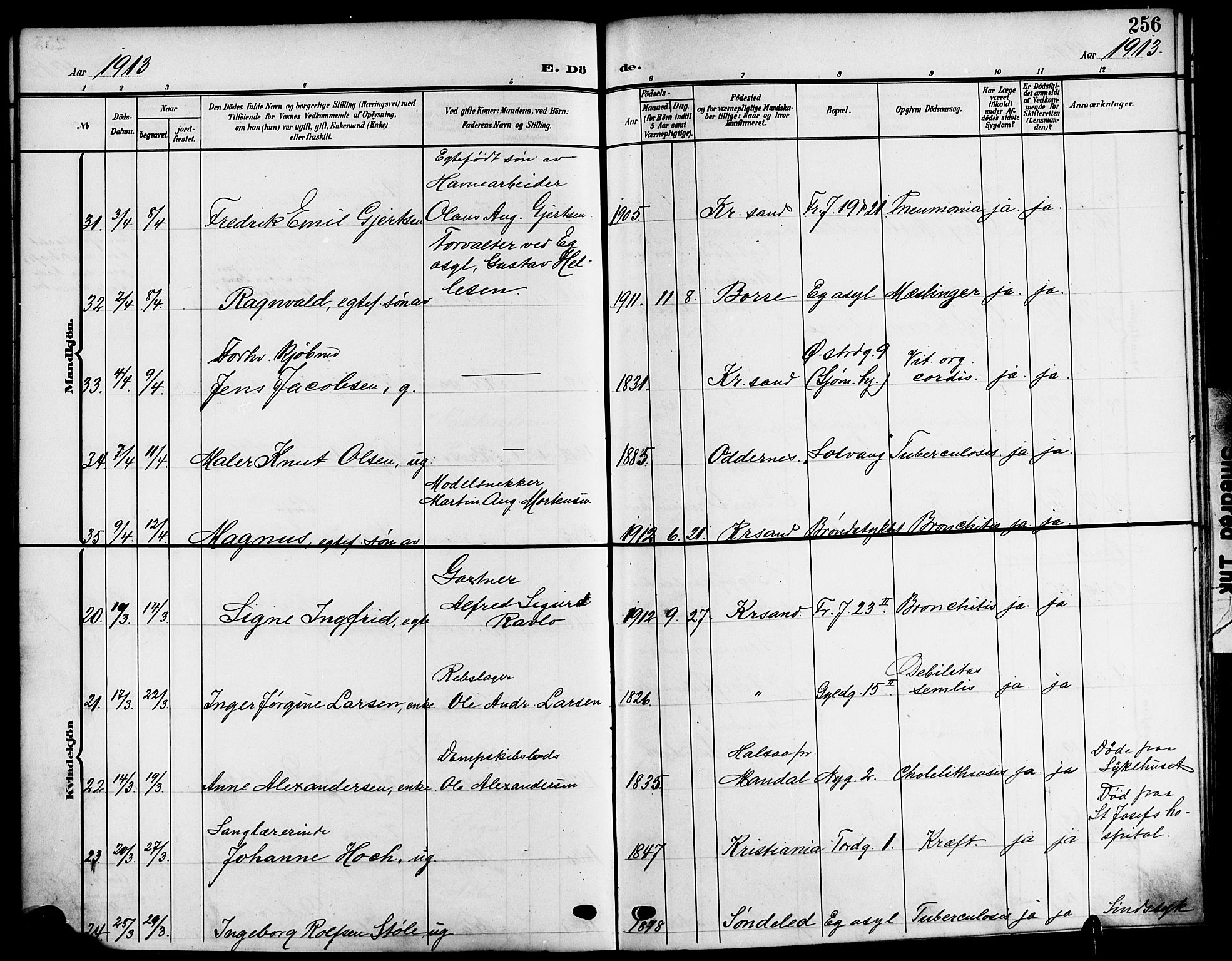 Kristiansand domprosti, SAK/1112-0006/F/Fb/L0020: Parish register (copy) no. B 20, 1906-1915, p. 256