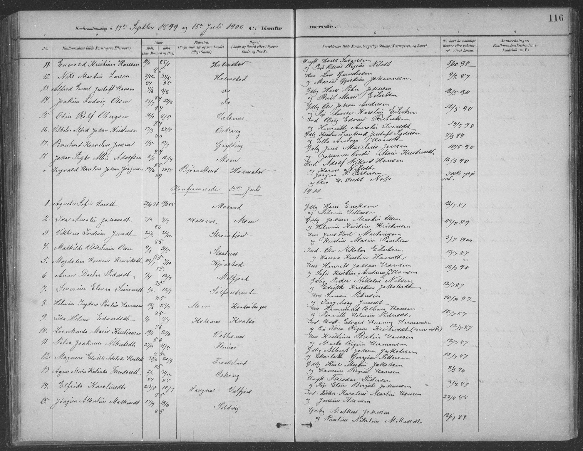 Ministerialprotokoller, klokkerbøker og fødselsregistre - Nordland, SAT/A-1459/890/L1290: Parish register (copy) no. 890C01, 1882-1911, p. 116