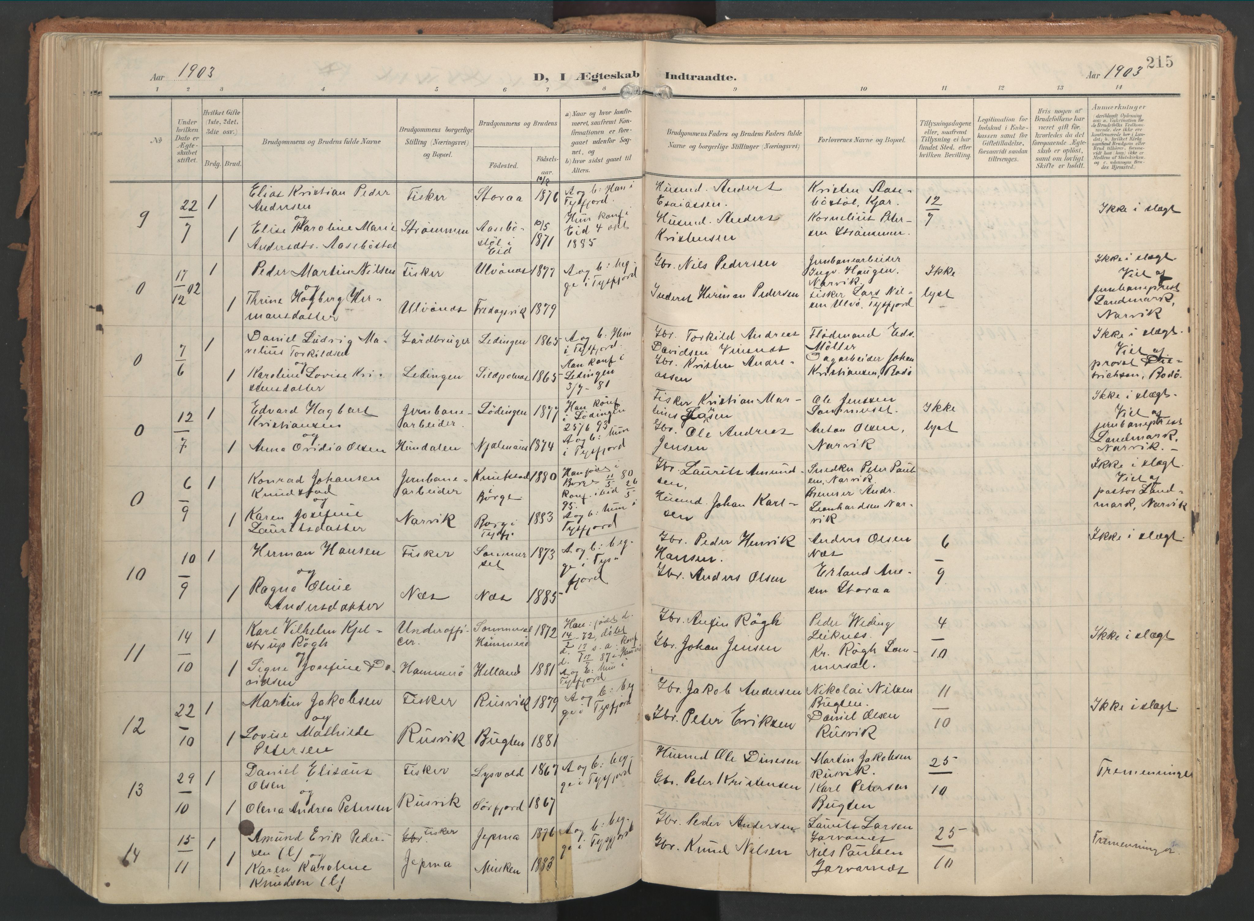 Ministerialprotokoller, klokkerbøker og fødselsregistre - Nordland, AV/SAT-A-1459/861/L0871: Parish register (official) no. 861A06, 1903-1916, p. 215