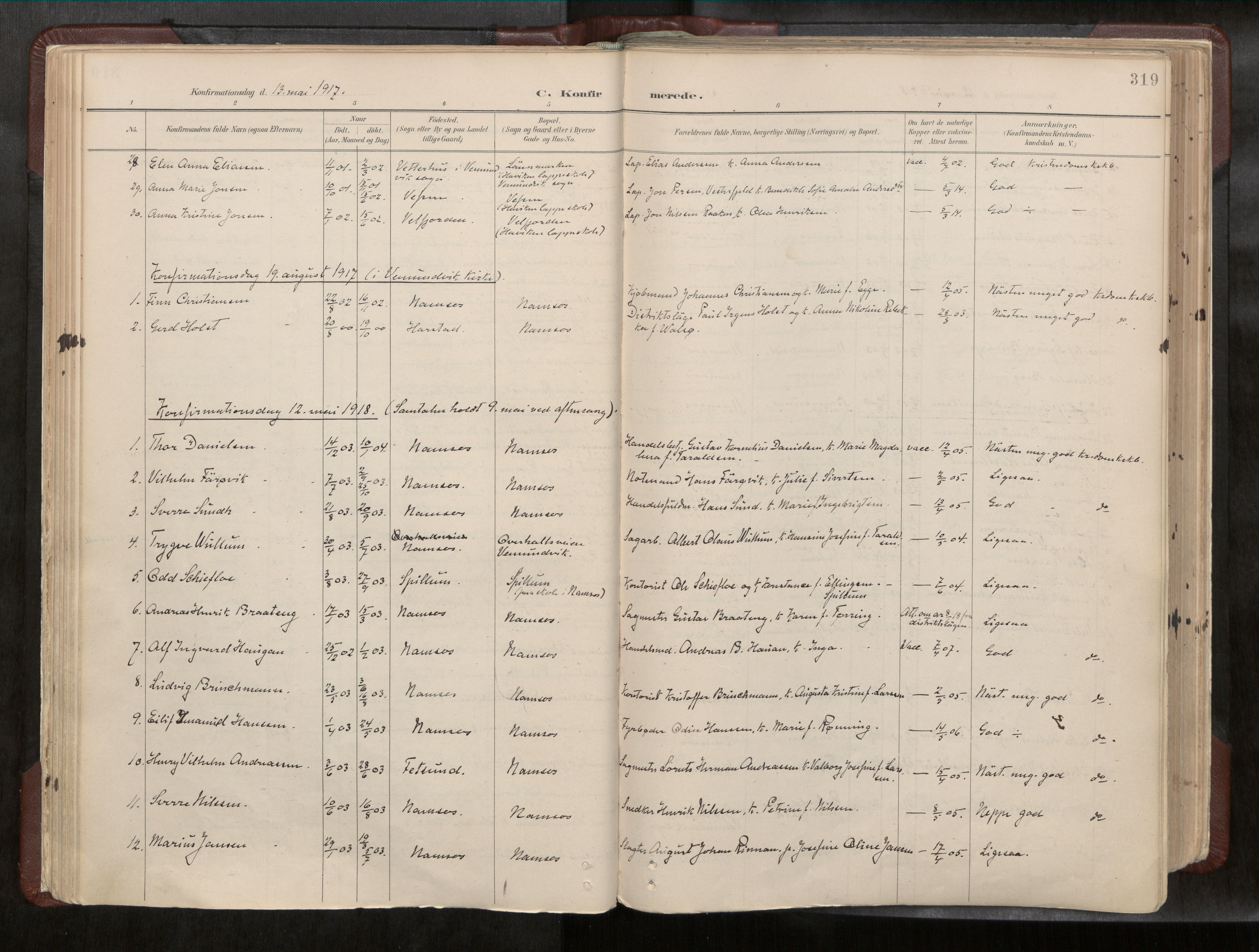 Ministerialprotokoller, klokkerbøker og fødselsregistre - Nord-Trøndelag, SAT/A-1458/768/L0579a: Parish register (official) no. 768A14, 1887-1931, p. 319