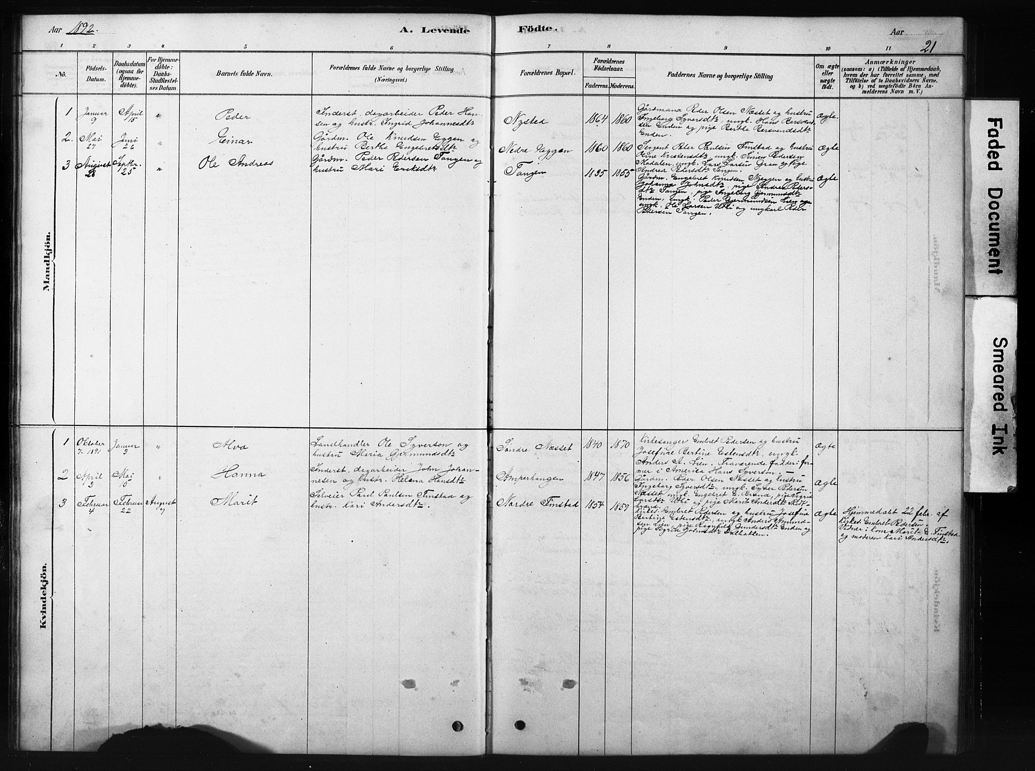 Sollia prestekontor, SAH/PREST-050/H/Ha/Hab/L0002: Parish register (copy) no. 2, 1880-1933, p. 21