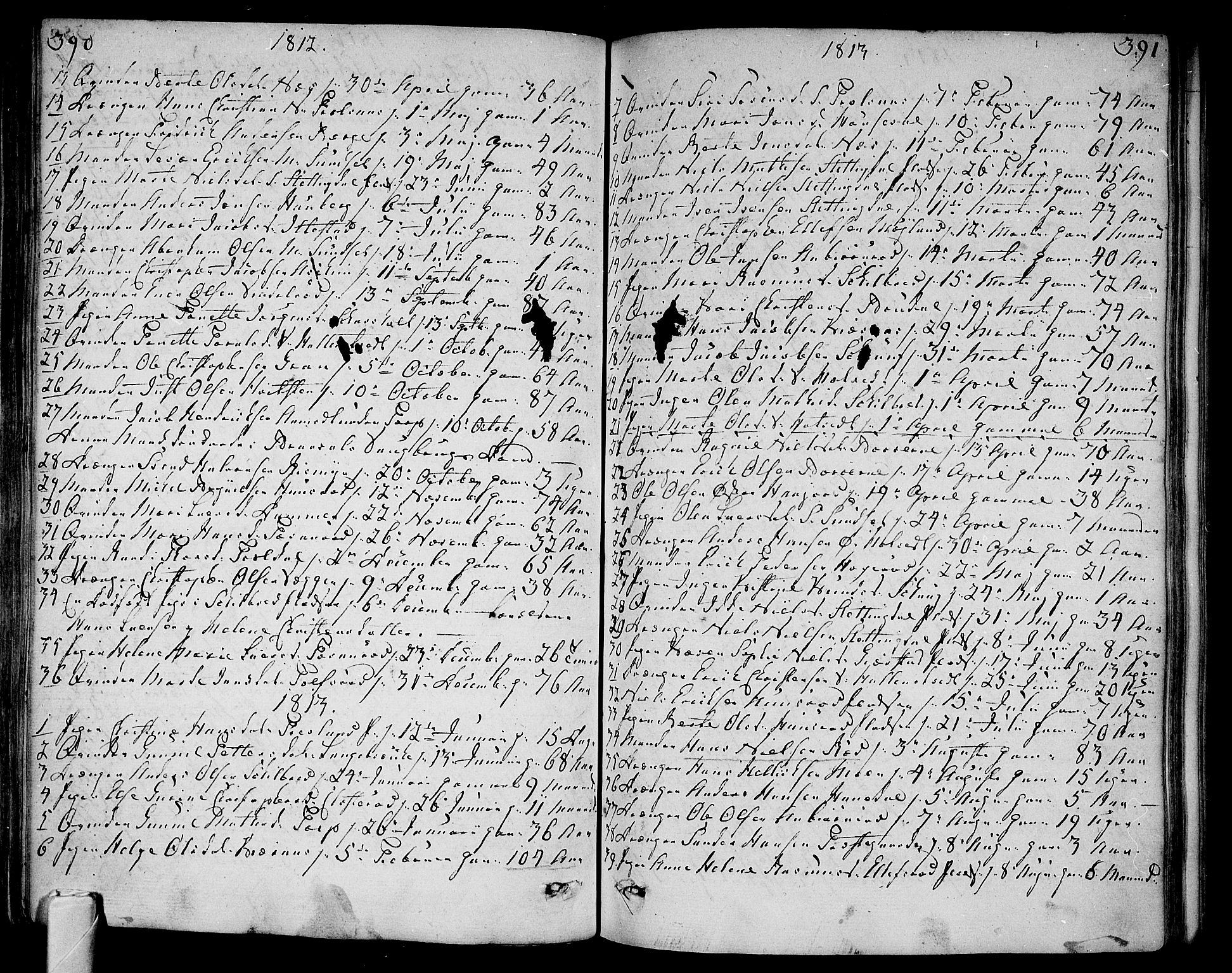 Andebu kirkebøker, AV/SAKO-A-336/F/Fa/L0003: Parish register (official) no. 3 /1, 1803-1828, p. 390-391