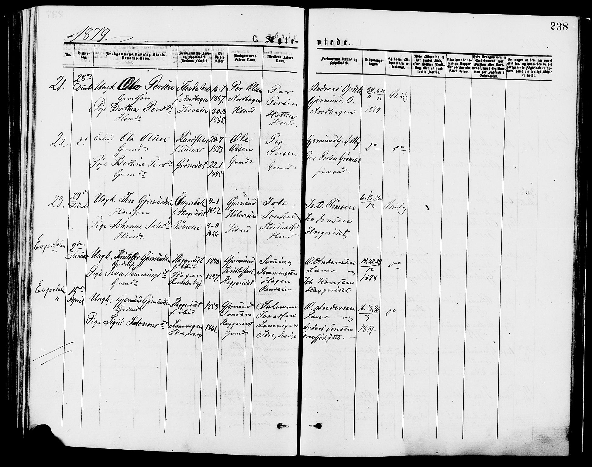 Trysil prestekontor, SAH/PREST-046/H/Ha/Haa/L0007: Parish register (official) no. 7, 1874-1880, p. 238