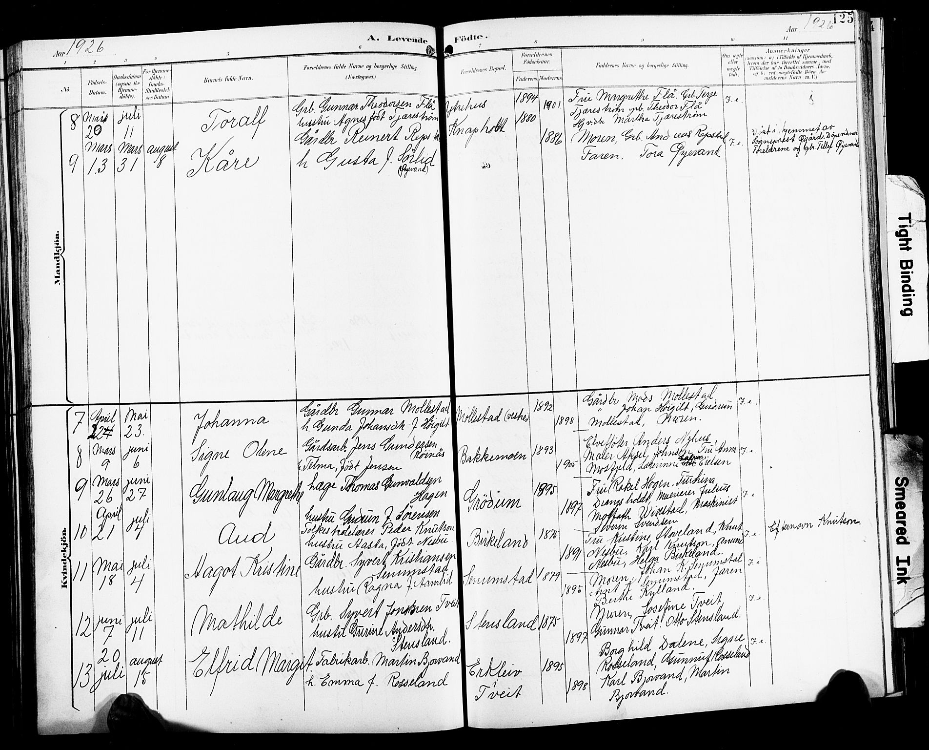 Birkenes sokneprestkontor, AV/SAK-1111-0004/F/Fb/L0004: Parish register (copy) no. B 4, 1893-1930, p. 125