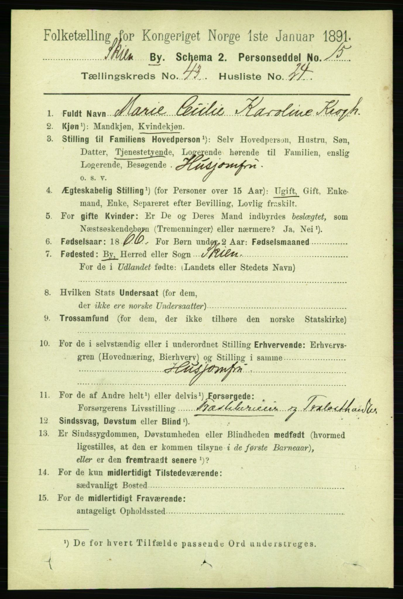 RA, 1891 census for 0806 Skien, 1891, p. 8761