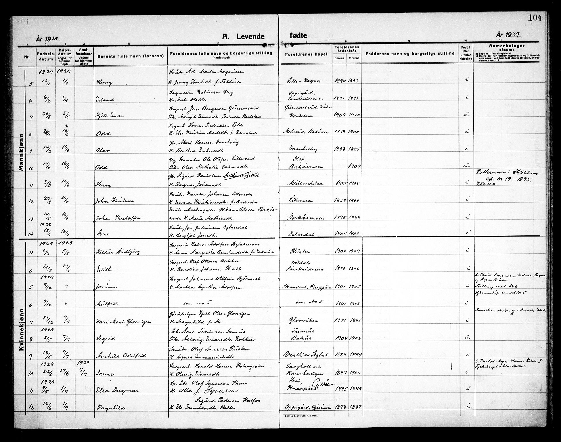 Åsnes prestekontor, AV/SAH-PREST-042/H/Ha/Haa/L0000D: Parish register (official) no. 0B, 1890-1929, p. 104