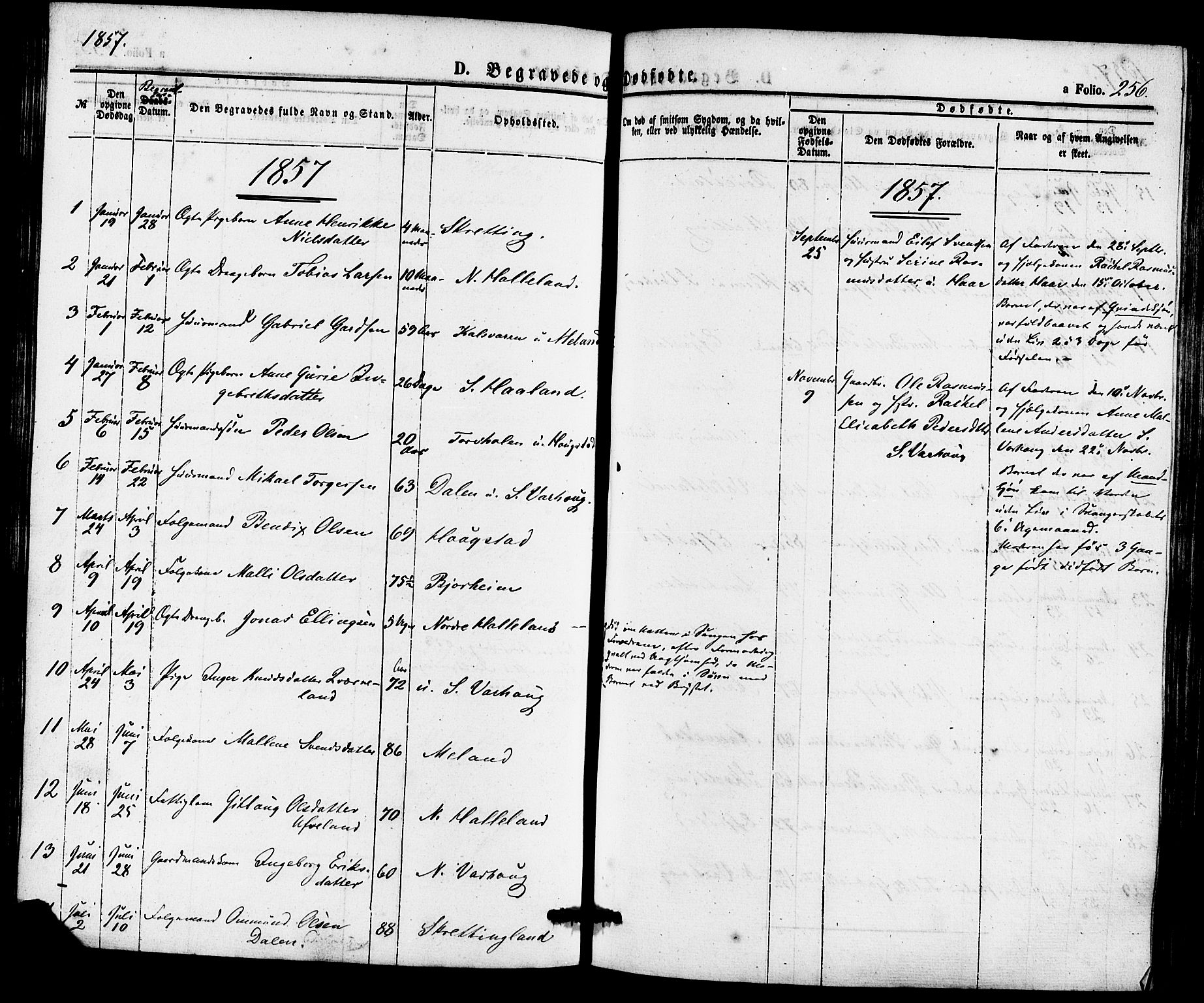 Hå sokneprestkontor, AV/SAST-A-101801/001/30BA/L0009: Parish register (official) no. A 8, 1855-1878, p. 256