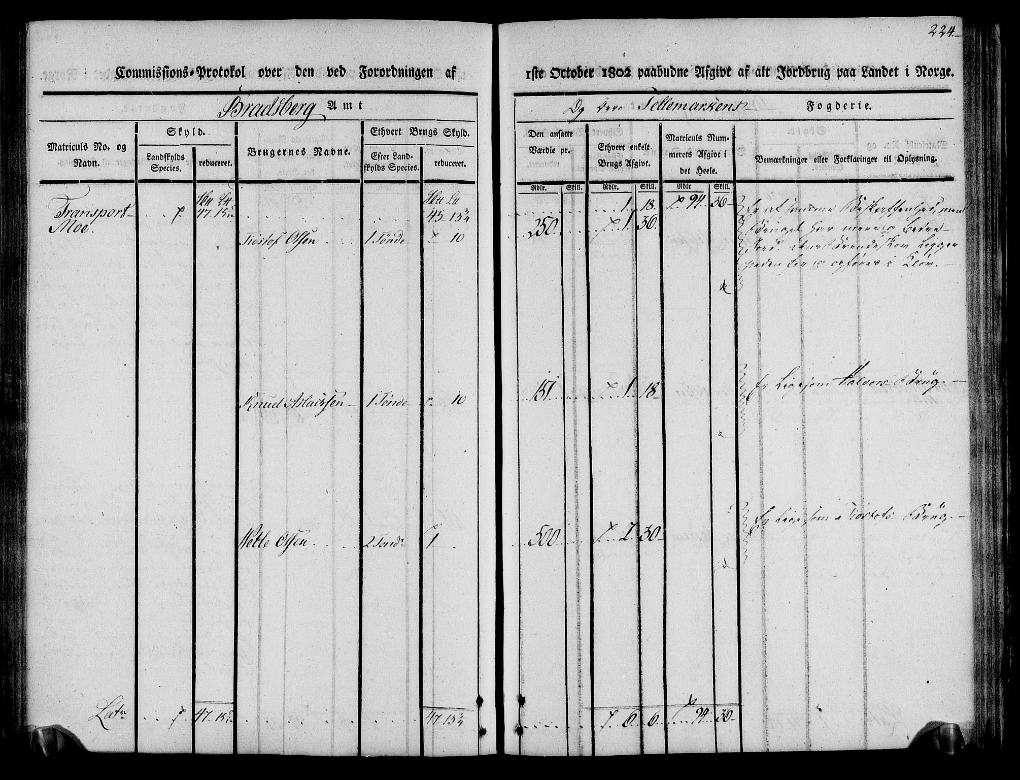 Rentekammeret inntil 1814, Realistisk ordnet avdeling, AV/RA-EA-4070/N/Ne/Nea/L0075: Øvre Telemarken fogderi. Kommisjonsprotokoll for fogderiets vestre del - Kviteseid, Vinje, Moland [):Fyresdal] og Lårdal prestegjeld., 1803, p. 226