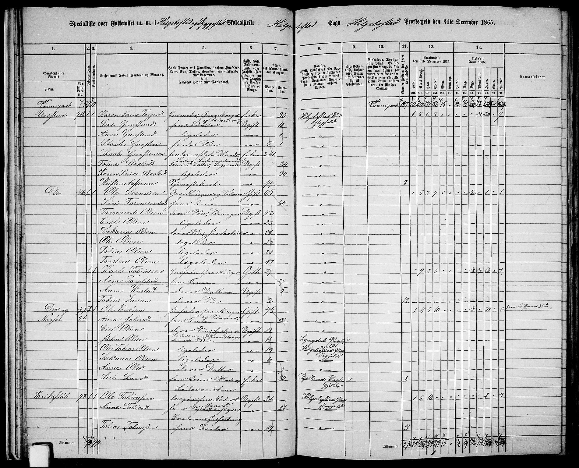 RA, 1865 census for Hægebostad, 1865, p. 27