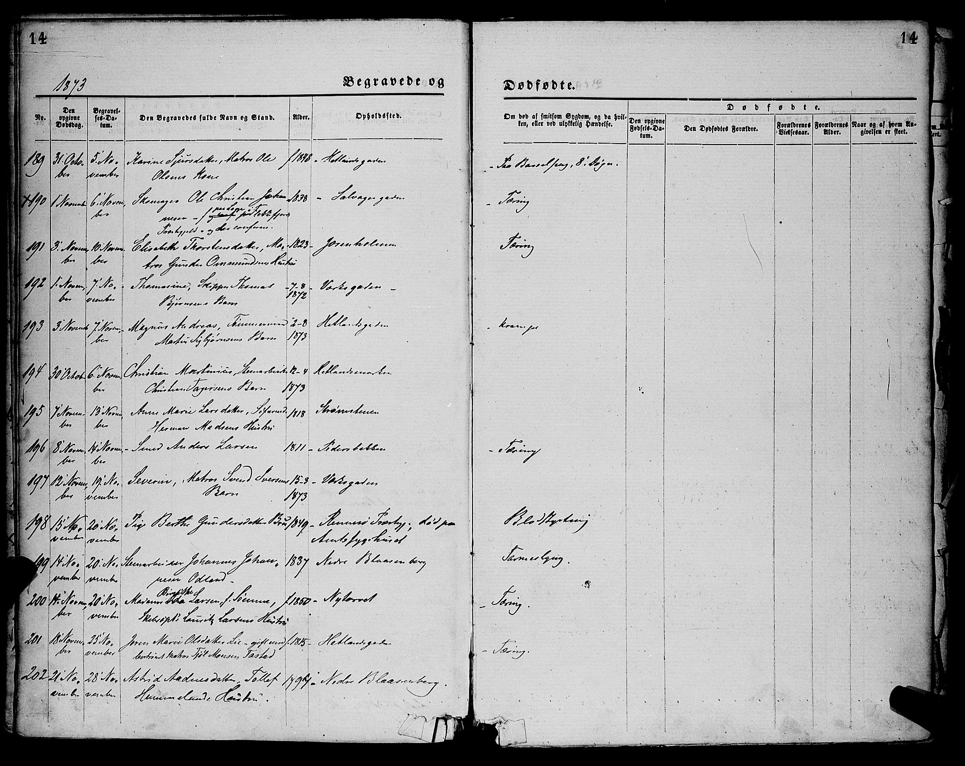 St. Petri sokneprestkontor, AV/SAST-A-101813/001/30/30BA/L0012: Parish register (official) no. A 12, 1873-1878, p. 14