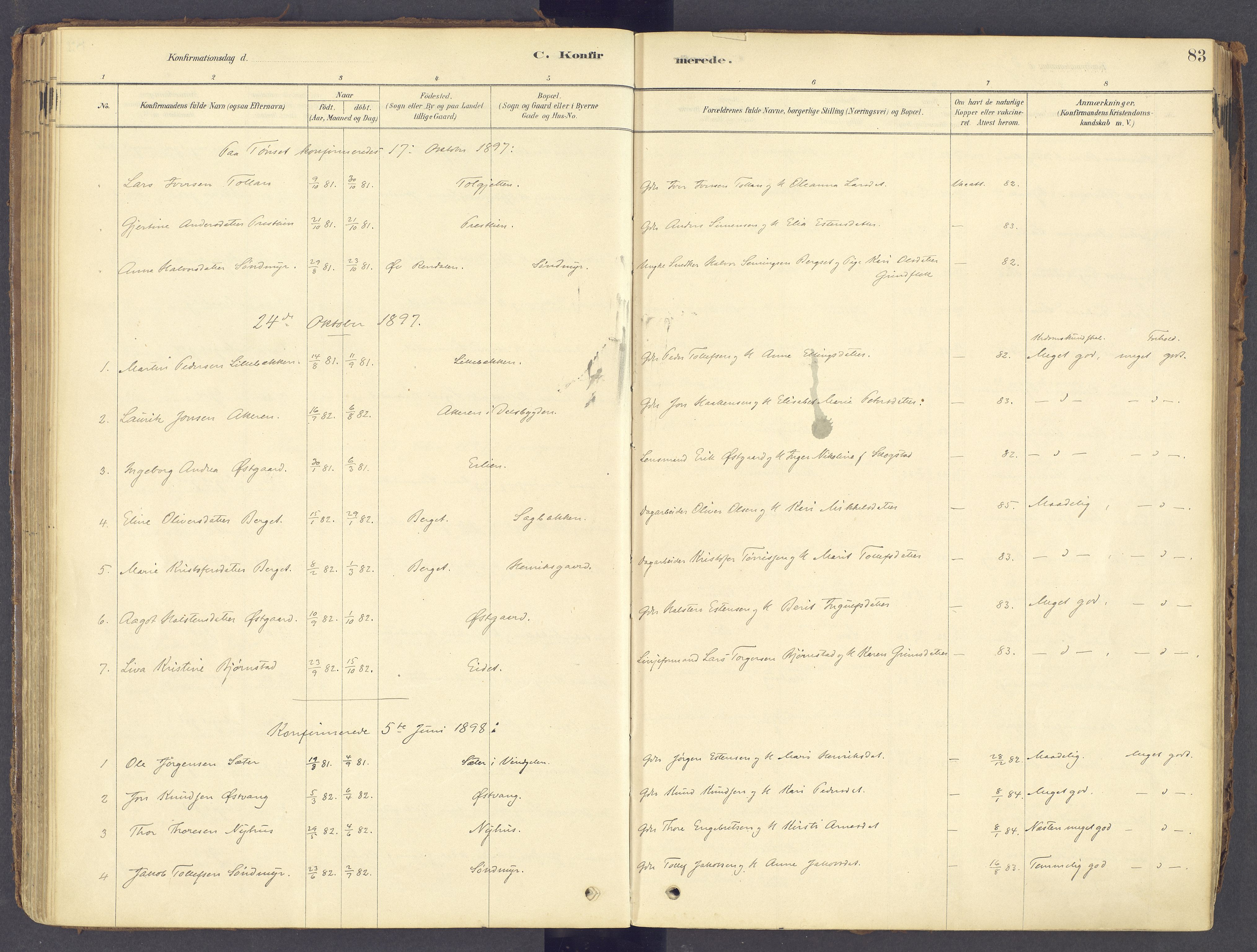 Tolga prestekontor, SAH/PREST-062/K/L0011: Parish register (official) no. 11, 1877-1920, p. 83