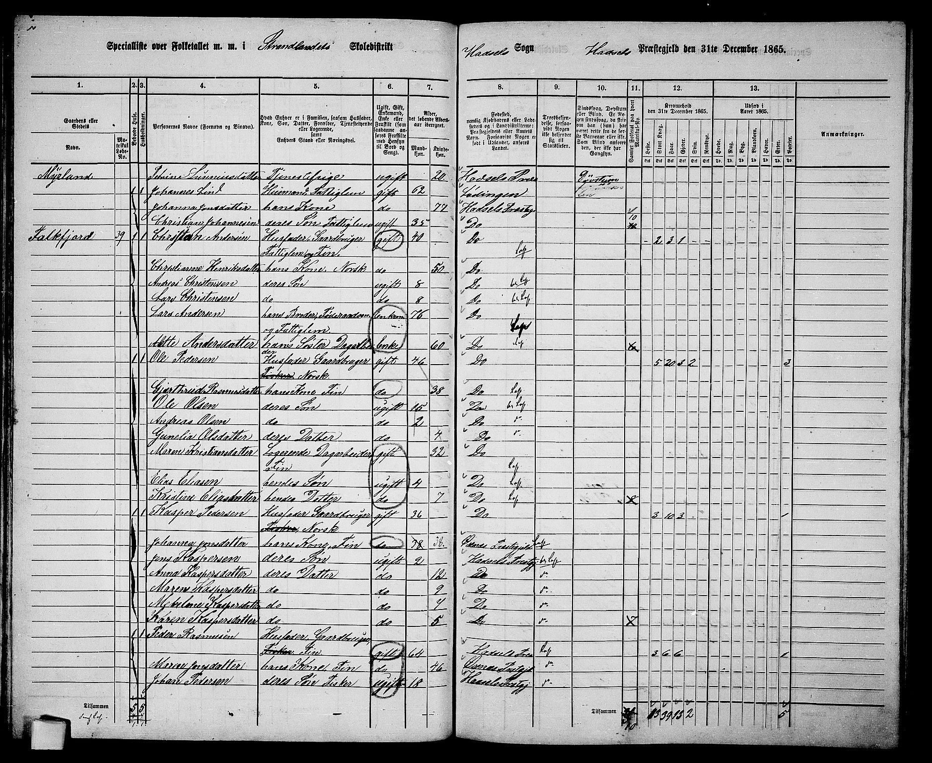 RA, 1865 census for Hadsel, 1865, p. 65