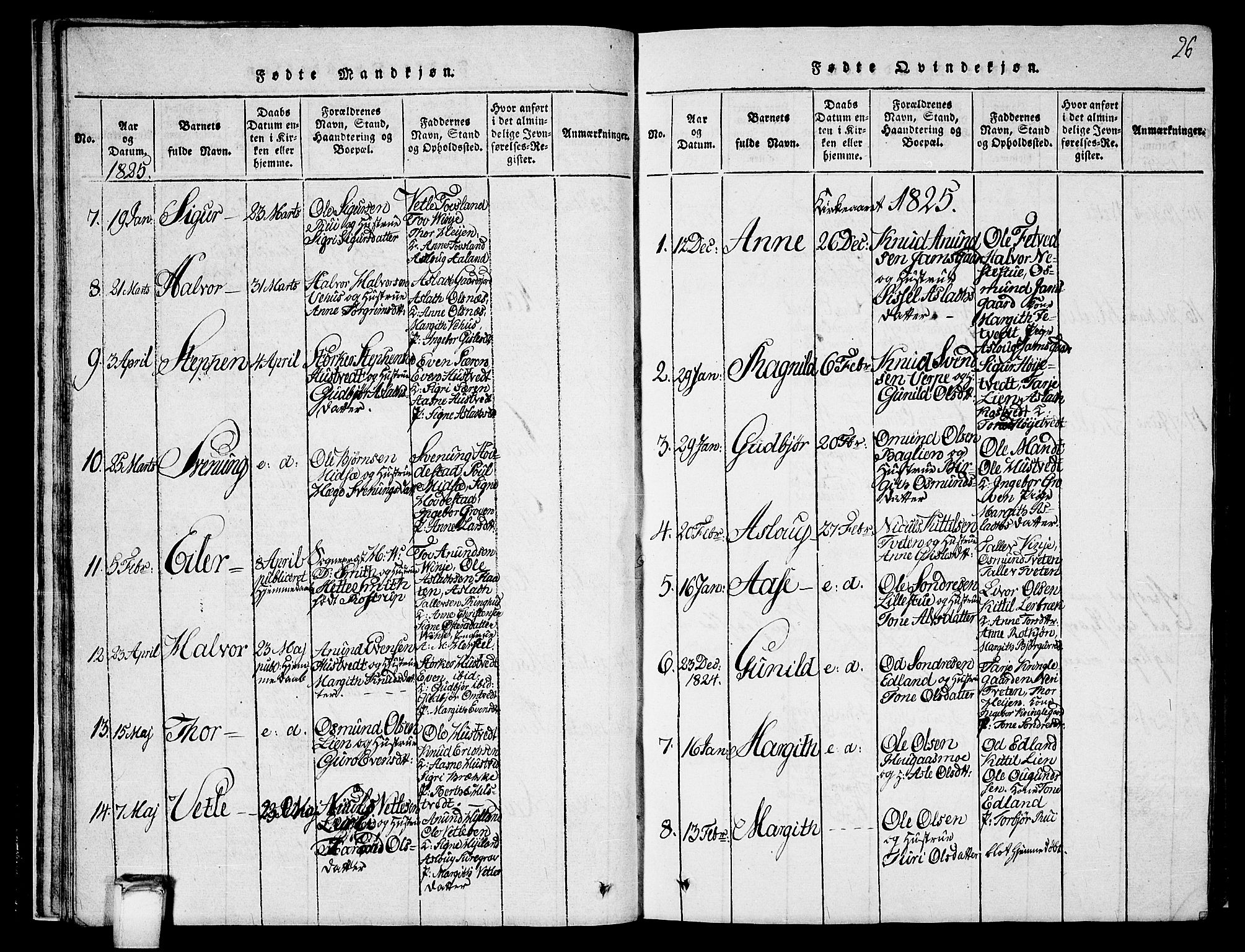 Vinje kirkebøker, SAKO/A-312/G/Ga/L0001: Parish register (copy) no. I 1, 1814-1843, p. 26