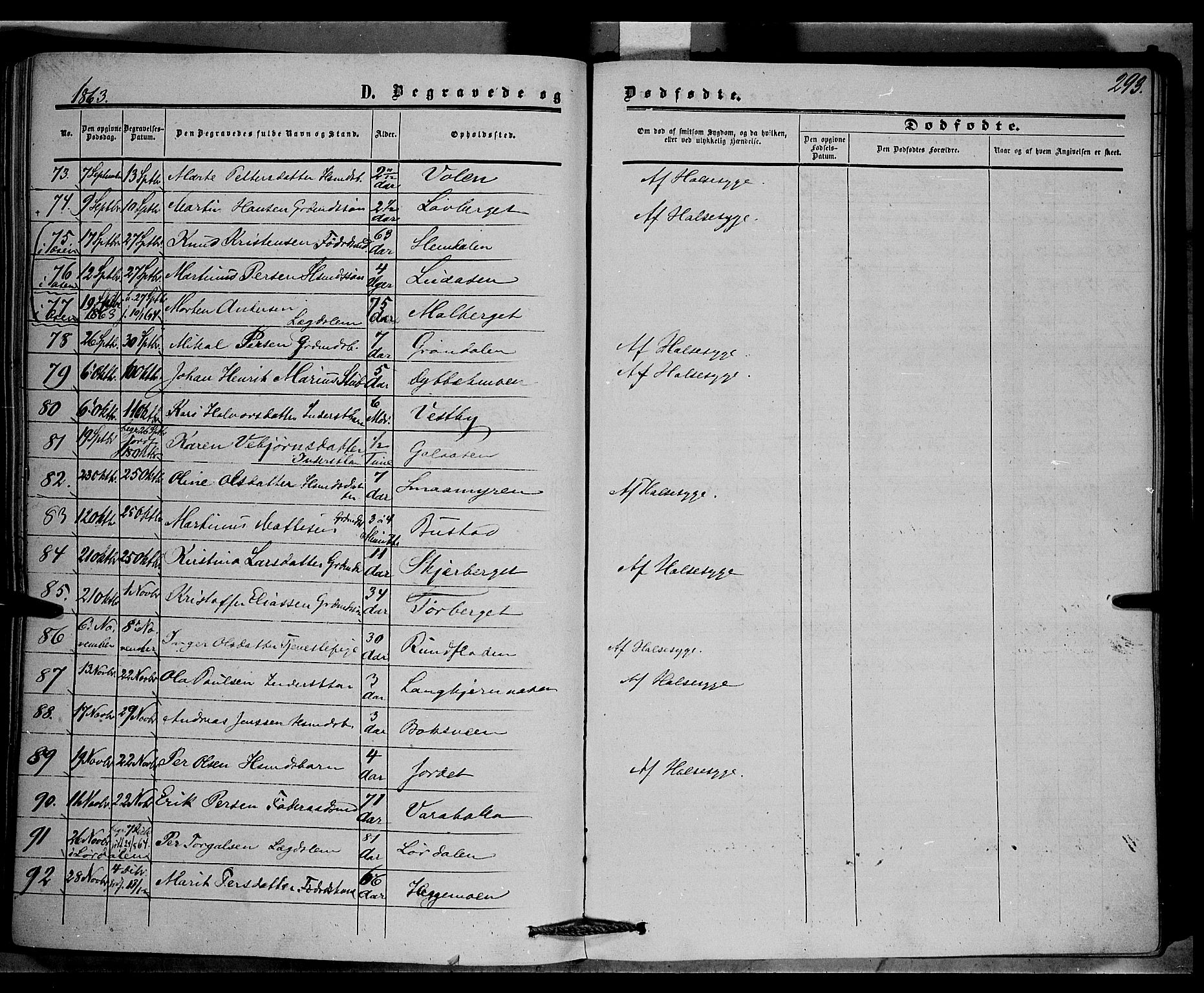 Trysil prestekontor, AV/SAH-PREST-046/H/Ha/Haa/L0005: Parish register (official) no. 5, 1851-1865, p. 293