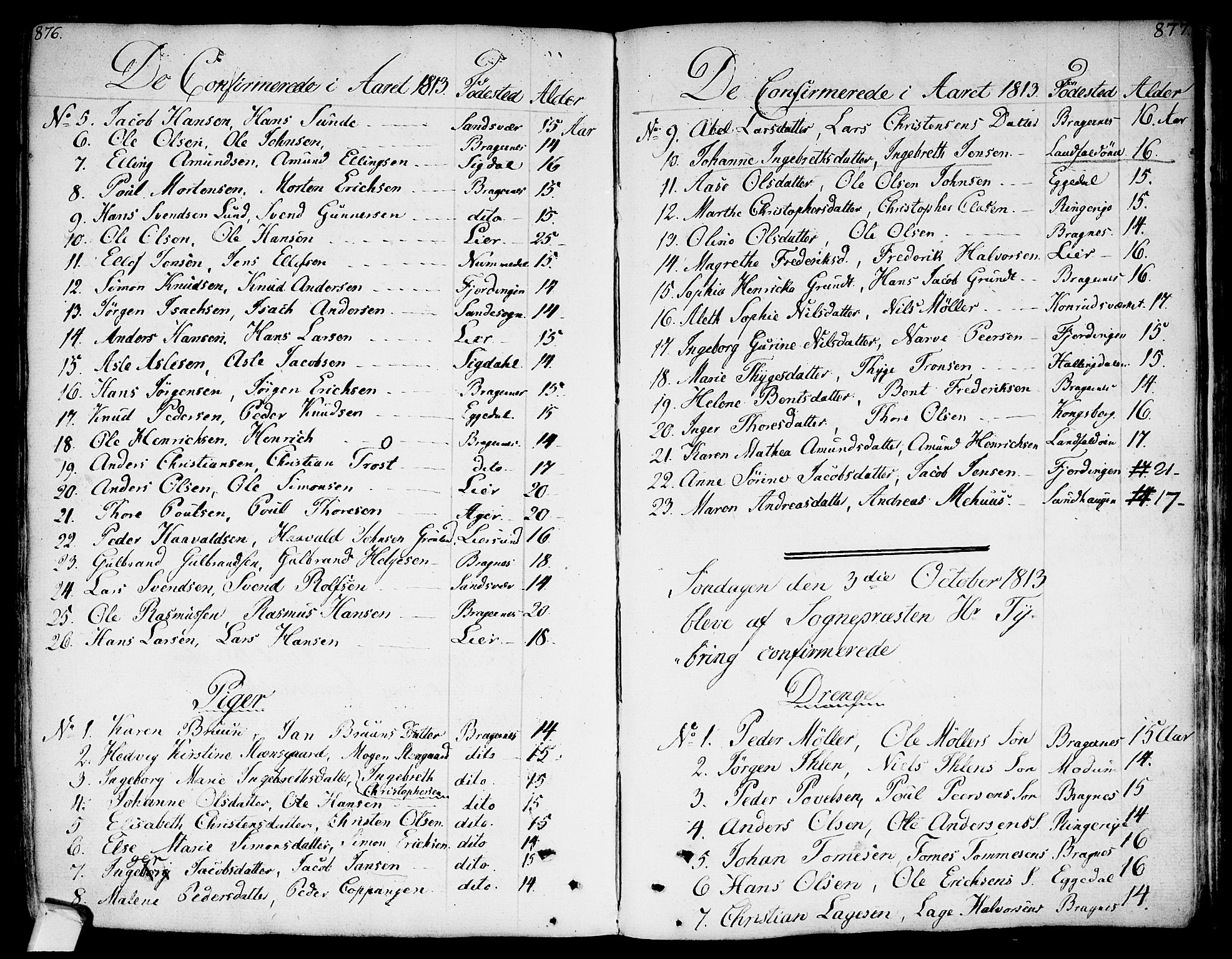Bragernes kirkebøker, SAKO/A-6/F/Fa/L0006a: Parish register (official) no. I 6, 1782-1814, p. 876-877