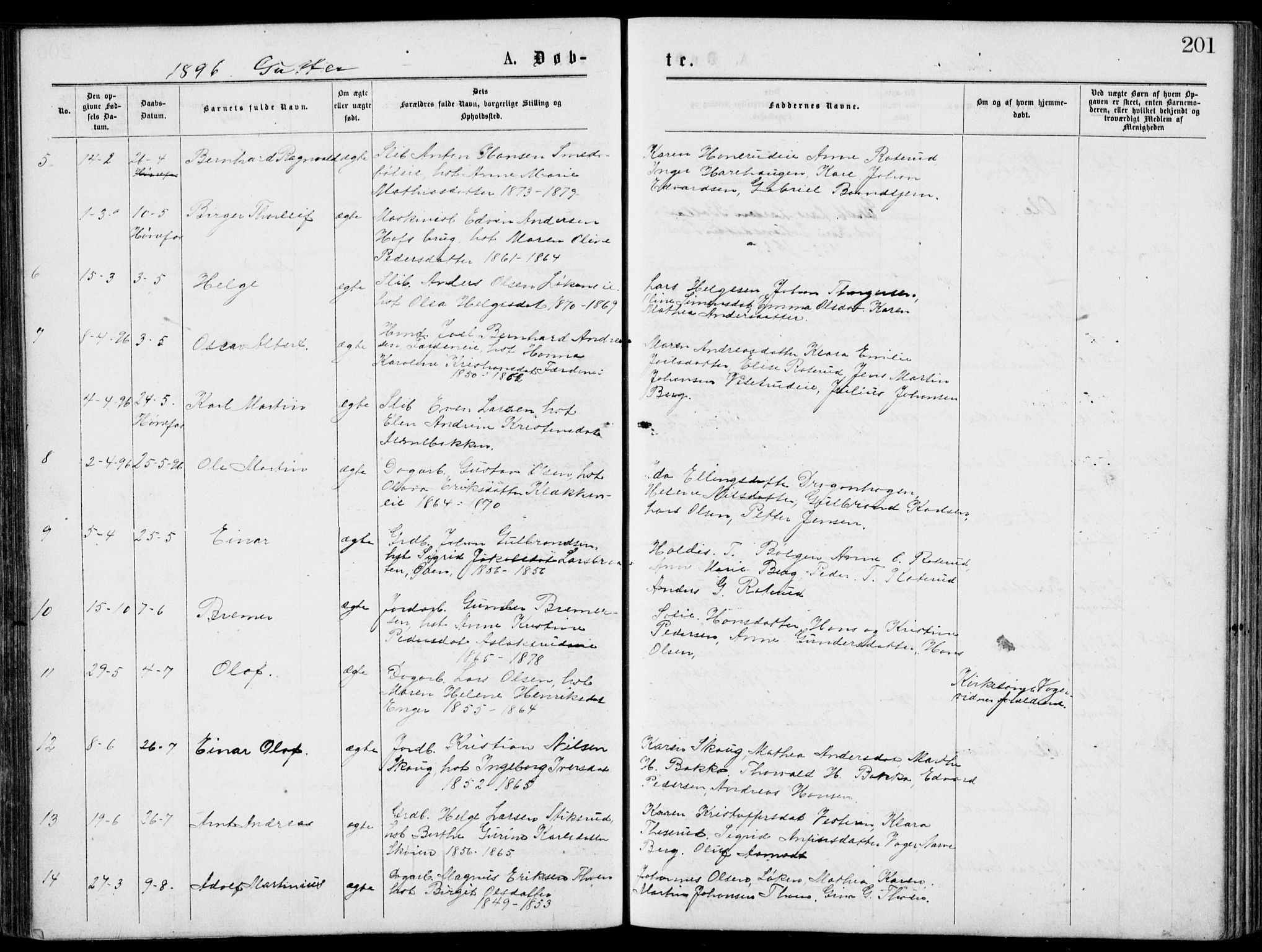 Norderhov kirkebøker, AV/SAKO-A-237/G/Gb/L0001: Parish register (copy) no. II 1, 1876-1899, p. 201