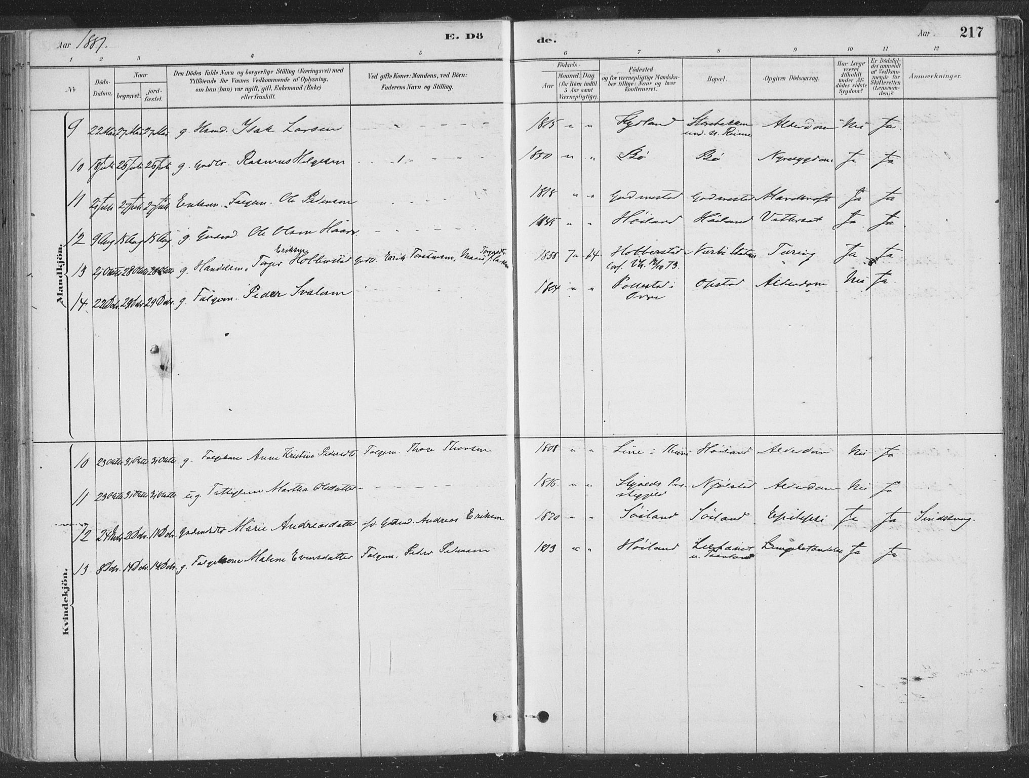 Hå sokneprestkontor, SAST/A-101801/001/30BA/L0010: Parish register (official) no. A 9, 1879-1896, p. 217