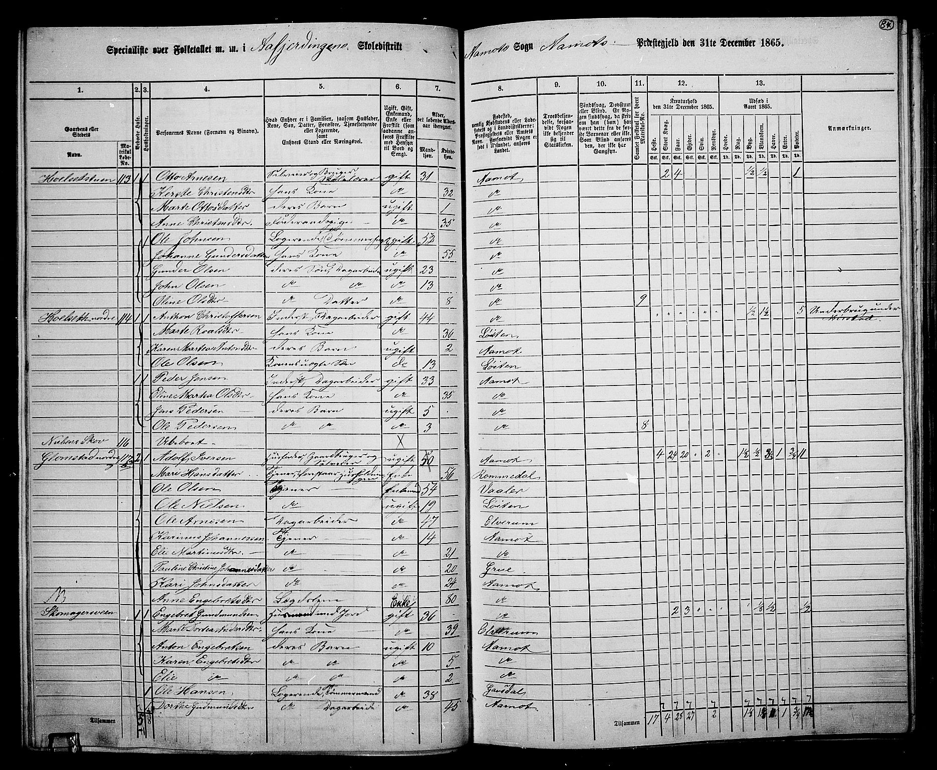 RA, 1865 census for Åmot, 1865, p. 79