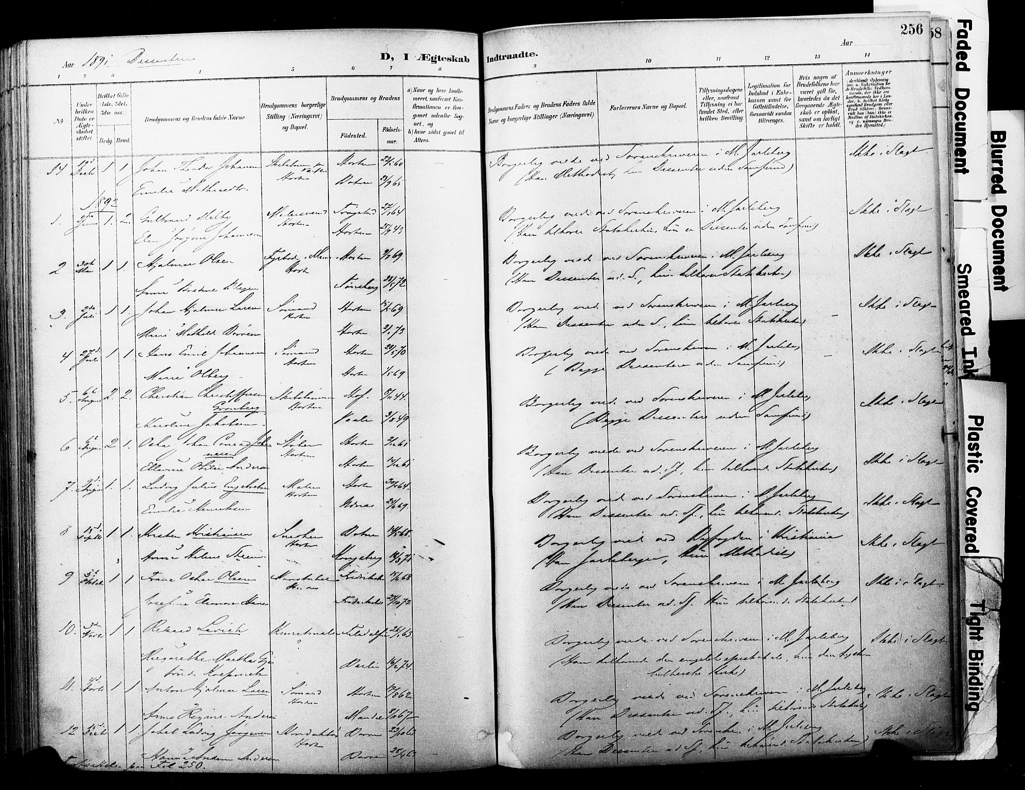 Horten kirkebøker, SAKO/A-348/F/Fa/L0004: Parish register (official) no. 4, 1888-1895, p. 256