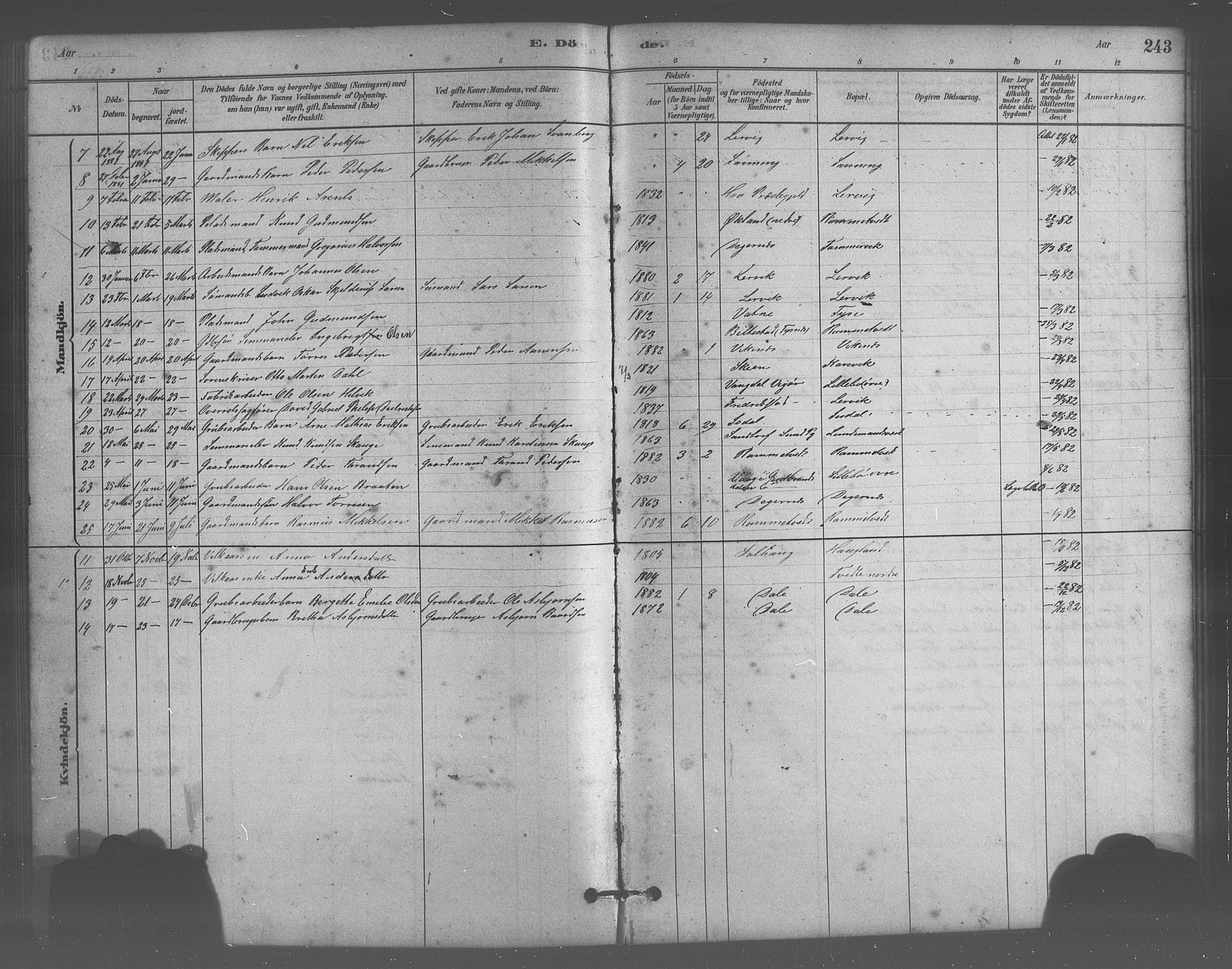 Stord sokneprestembete, SAB/A-78201/H/Hab: Parish register (copy) no. A 2, 1879-1909, p. 243