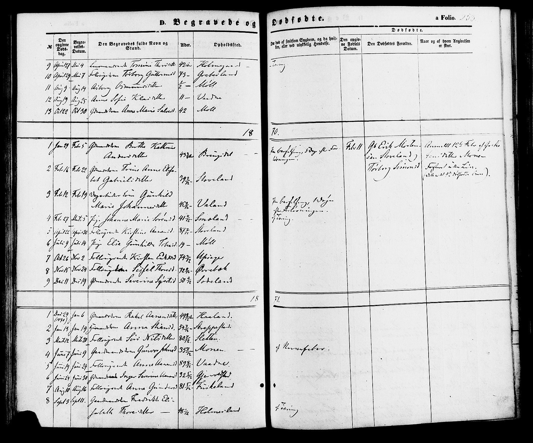 Holum sokneprestkontor, AV/SAK-1111-0022/F/Fa/Faa/L0006: Parish register (official) no. A 6, 1865-1883, p. 253