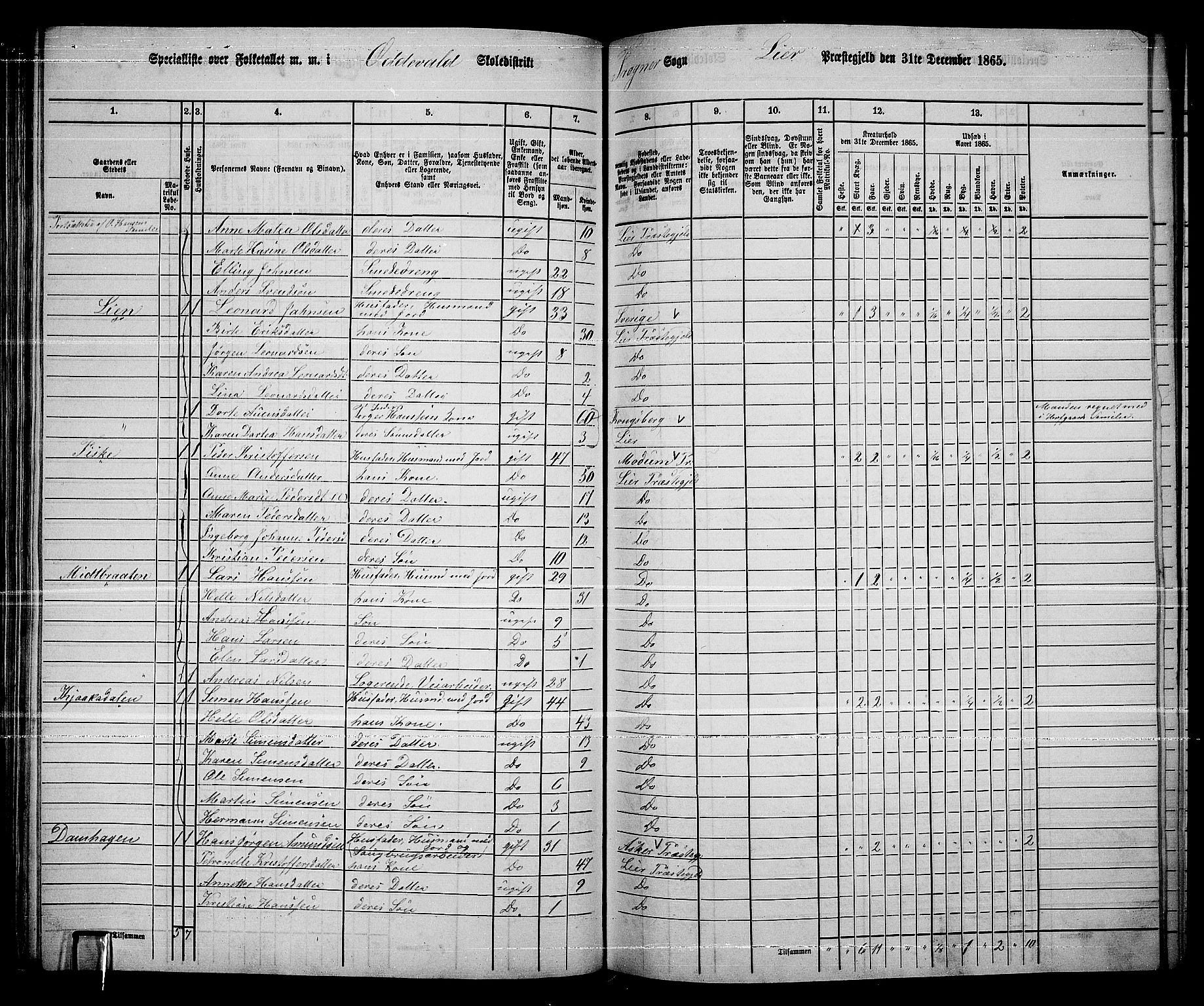 RA, 1865 census for Lier, 1865, p. 112