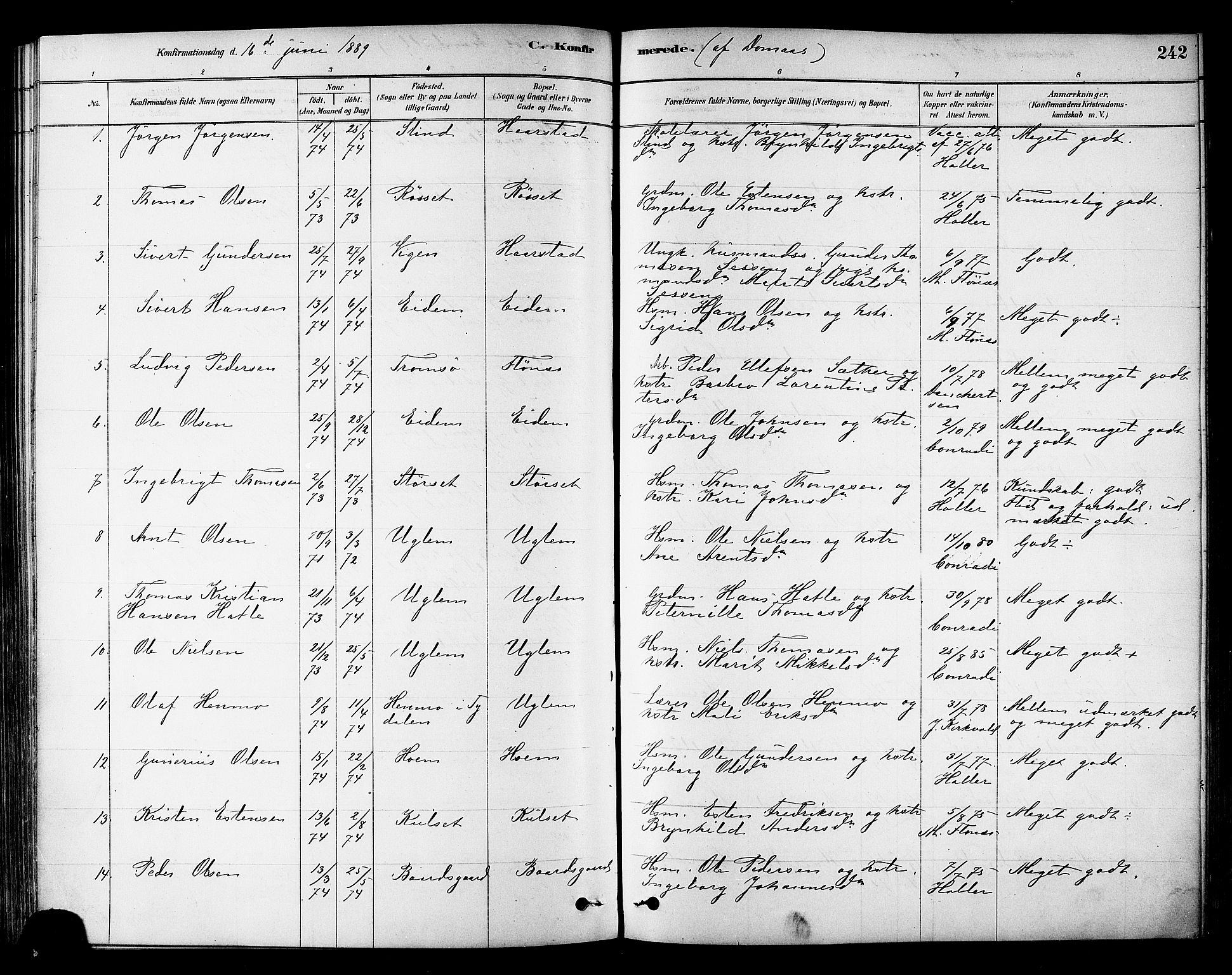 Ministerialprotokoller, klokkerbøker og fødselsregistre - Sør-Trøndelag, SAT/A-1456/695/L1148: Parish register (official) no. 695A08, 1878-1891, p. 242