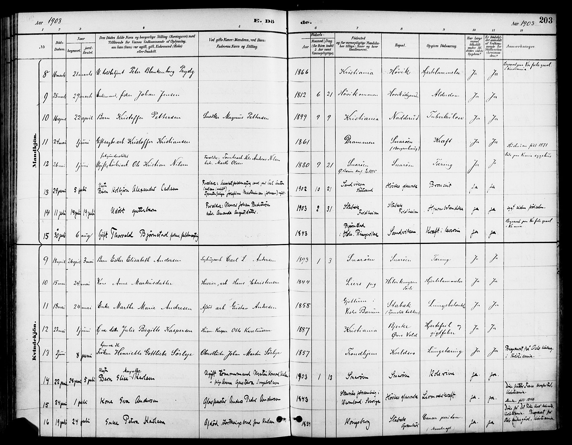 Asker prestekontor Kirkebøker, SAO/A-10256a/F/Fc/L0003: Parish register (official) no. III 3, 1892-1904, p. 203