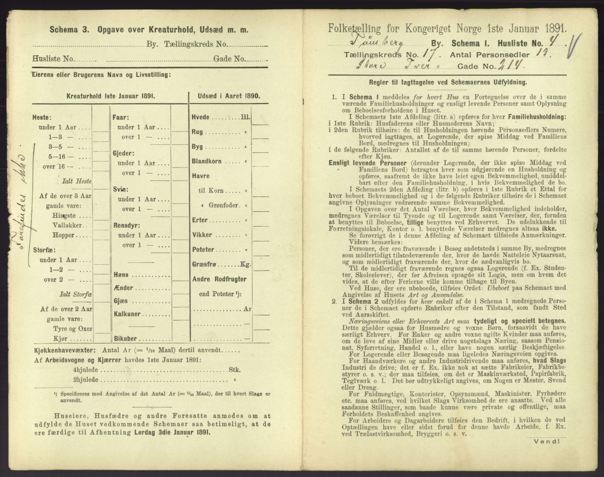 RA, 1891 census for 0705 Tønsberg, 1891, p. 604