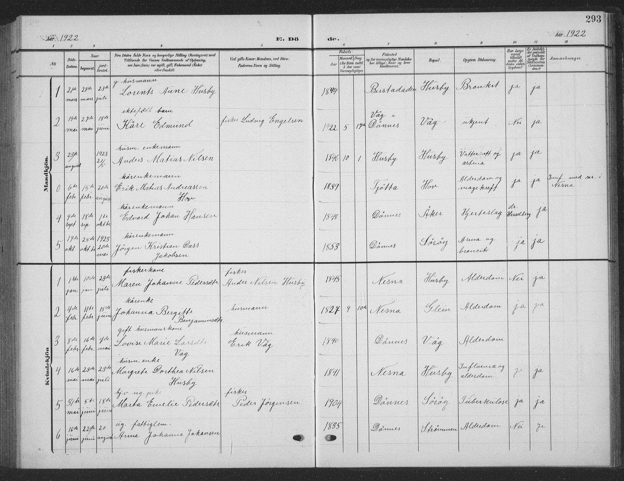 Ministerialprotokoller, klokkerbøker og fødselsregistre - Nordland, AV/SAT-A-1459/835/L0533: Parish register (copy) no. 835C05, 1906-1939, p. 293