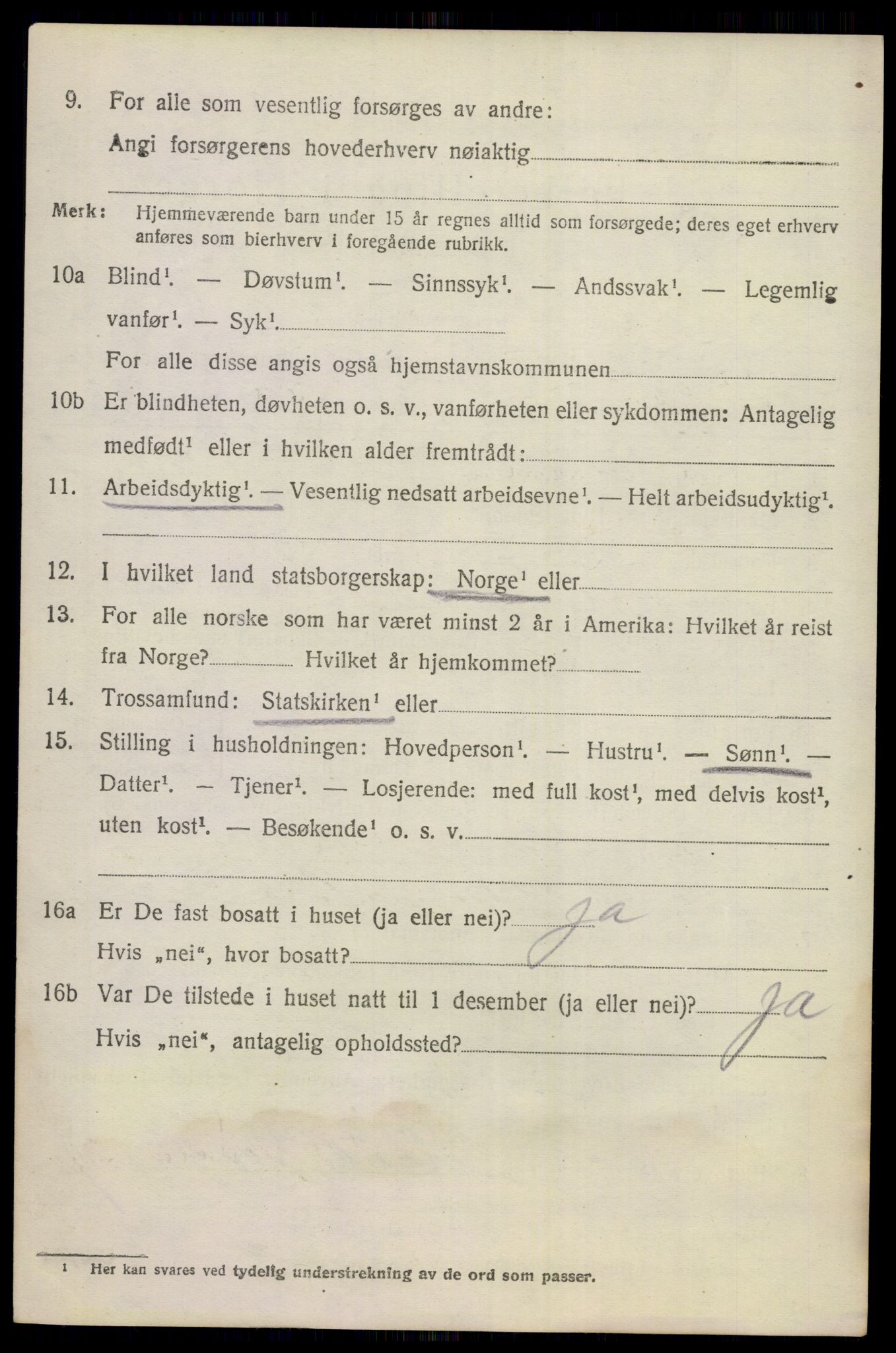 SAKO, 1920 census for Nes (Buskerud), 1920, p. 1303