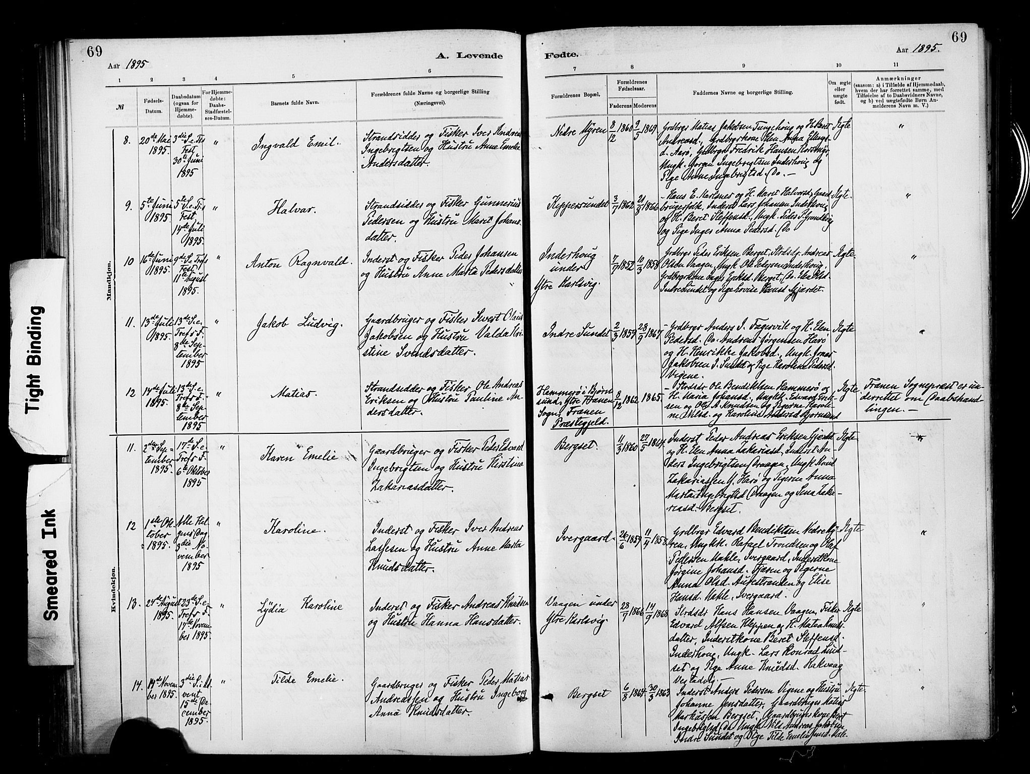Ministerialprotokoller, klokkerbøker og fødselsregistre - Møre og Romsdal, AV/SAT-A-1454/566/L0769: Parish register (official) no. 566A08, 1881-1903, p. 69