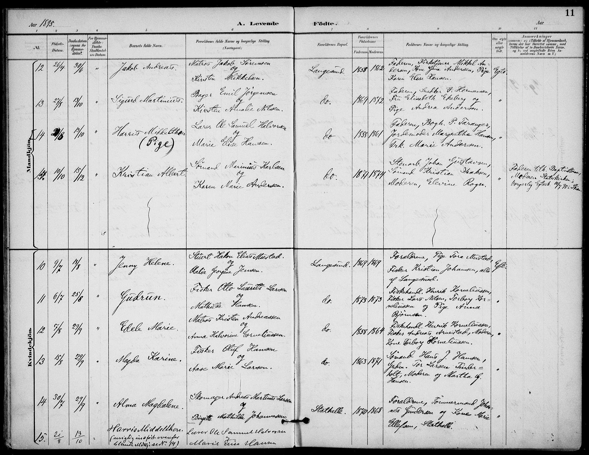 Langesund kirkebøker, SAKO/A-280/F/Fa/L0003: Parish register (official) no. 3, 1893-1907, p. 11