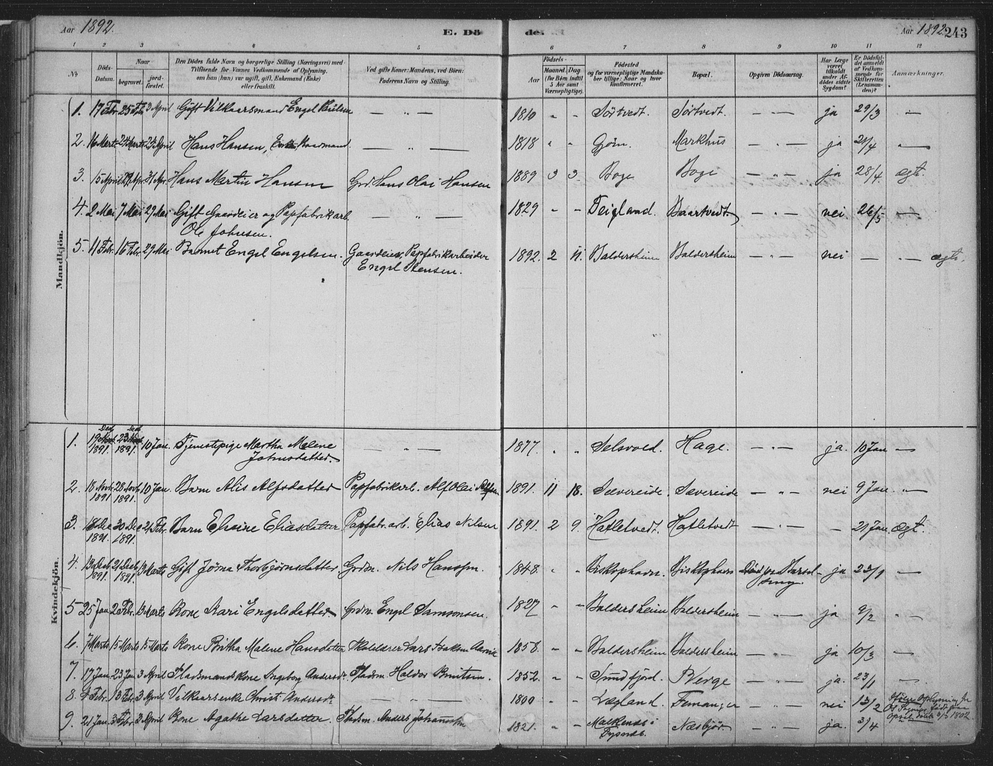 Fusa sokneprestembete, SAB/A-75401/H/Haa: Parish register (official) no. D 1, 1880-1938, p. 243
