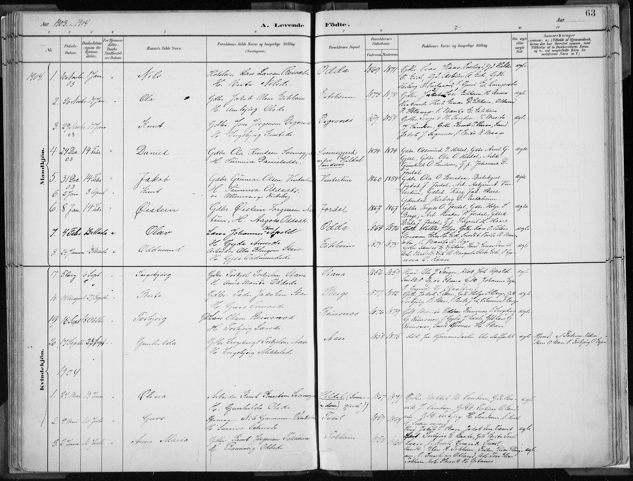 Odda Sokneprestembete, AV/SAB-A-77201/H/Haa: Parish register (official) no. A  3, 1882-1913, p. 63