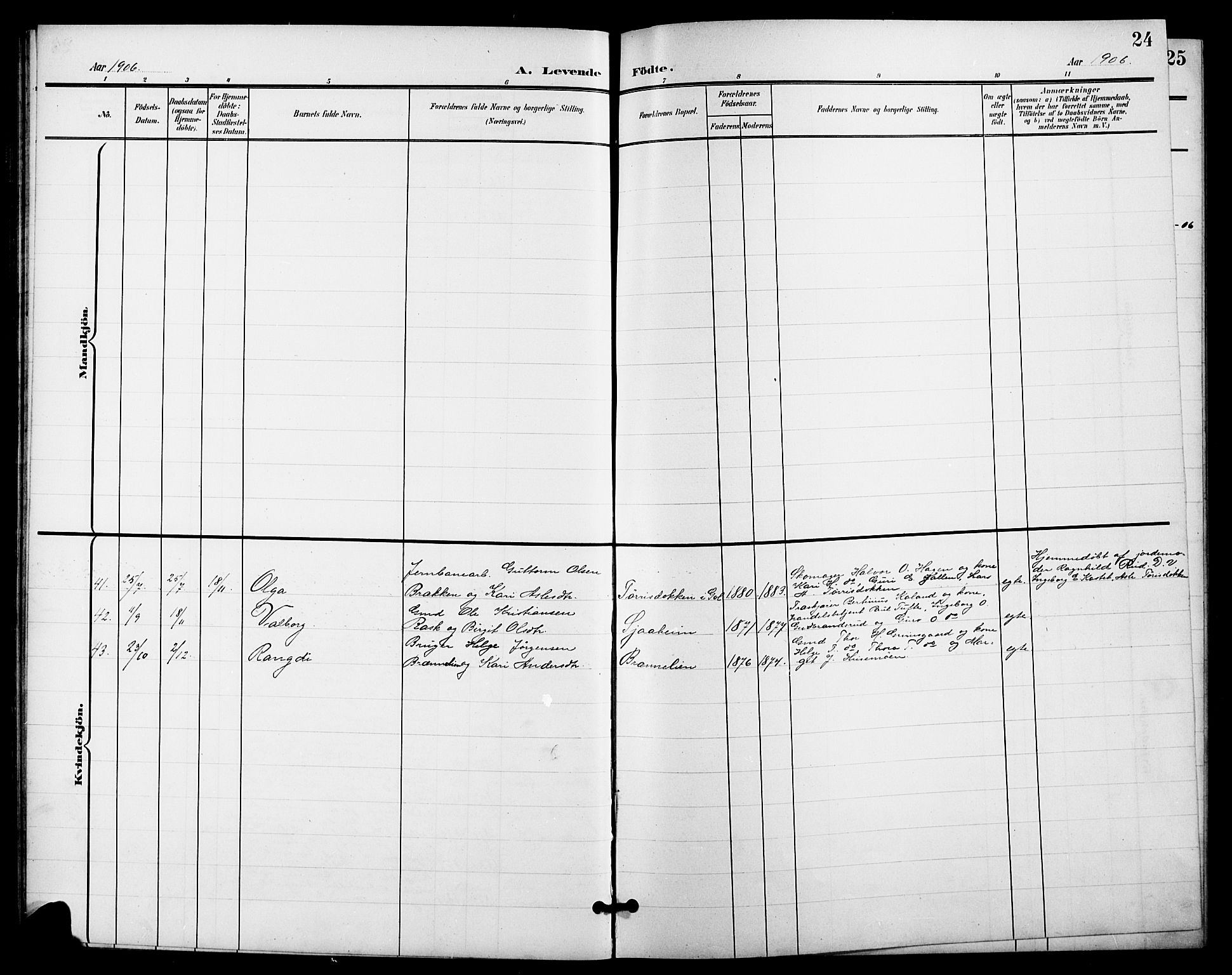 Nes kirkebøker, AV/SAKO-A-236/G/Ga/L0004: Parish register (copy) no. I 4, 1900-1925, p. 24