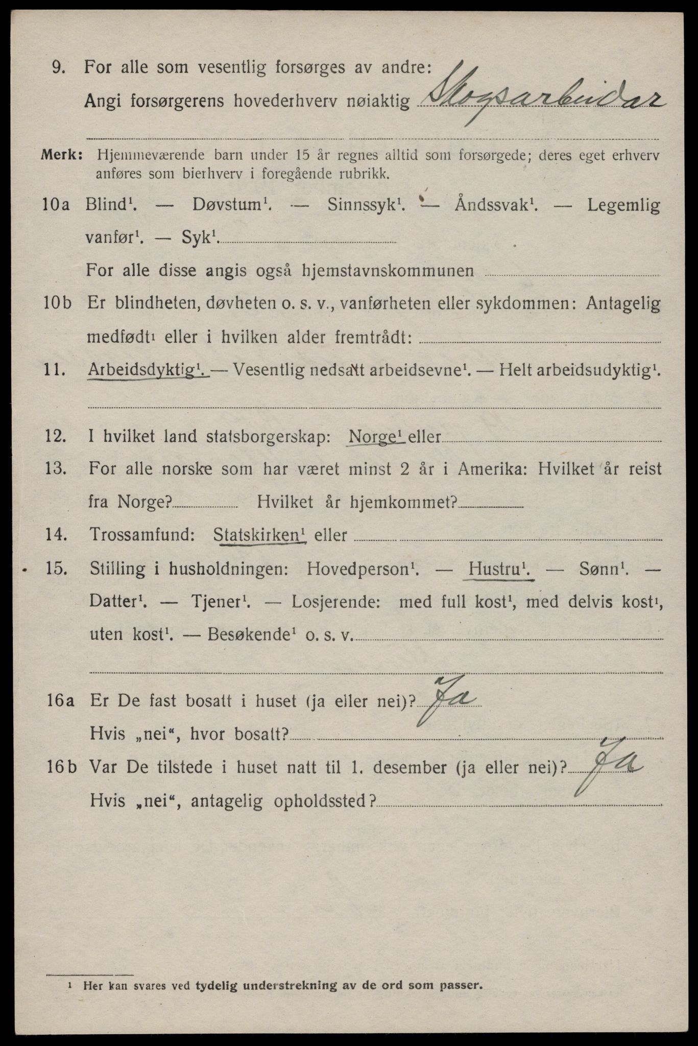 SAKO, 1920 census for Vinje, 1920, p. 1256