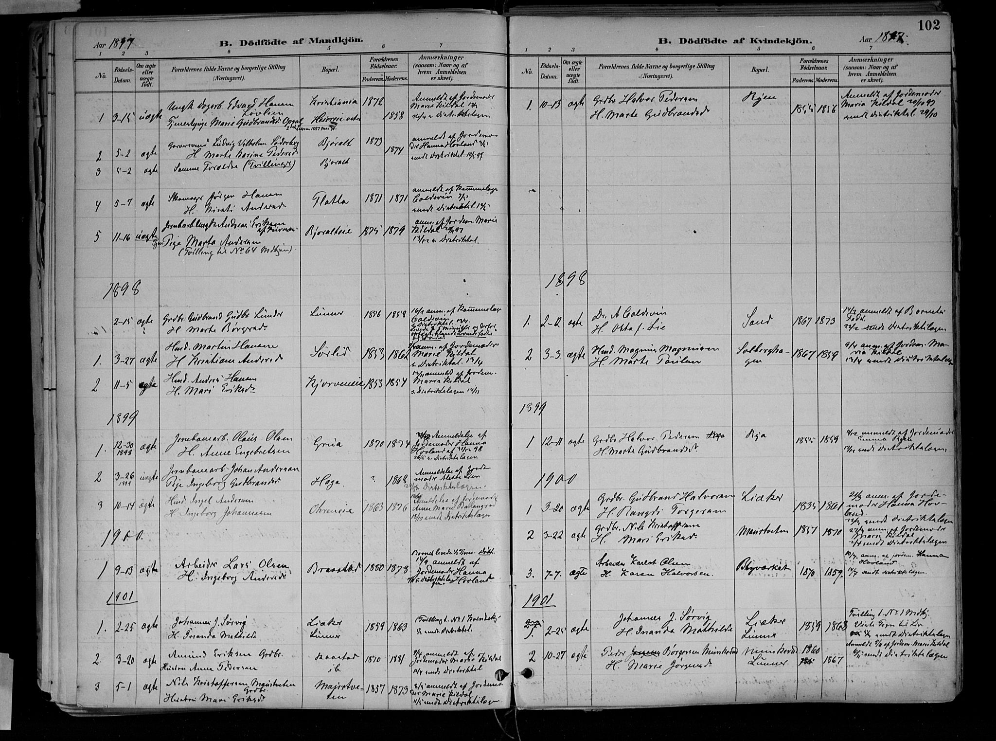 Jevnaker prestekontor, SAH/PREST-116/H/Ha/Haa/L0010: Parish register (official) no. 10, 1891-1906, p. 102