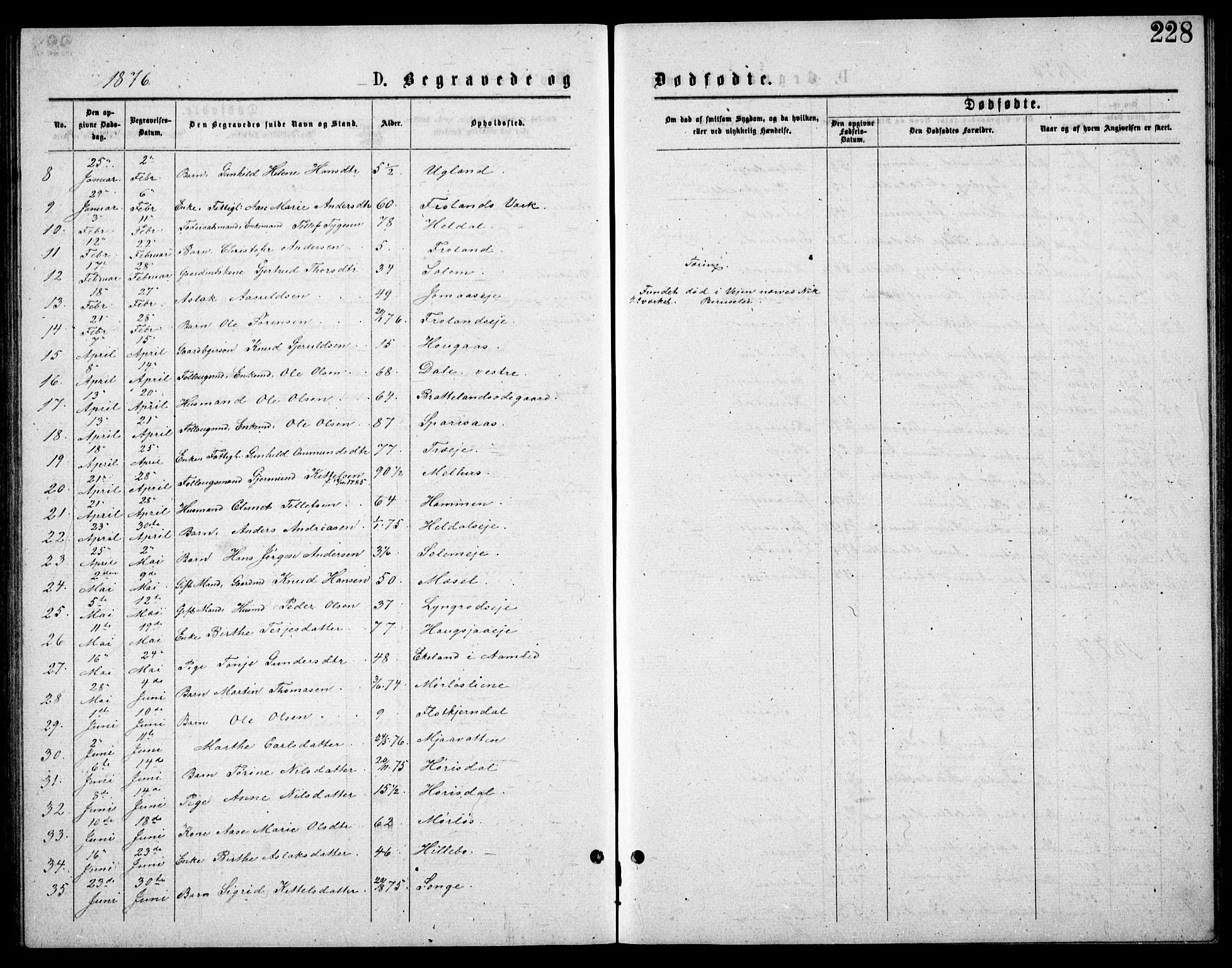 Froland sokneprestkontor, SAK/1111-0013/F/Fb/L0009: Parish register (copy) no. B 9, 1875-1893, p. 228