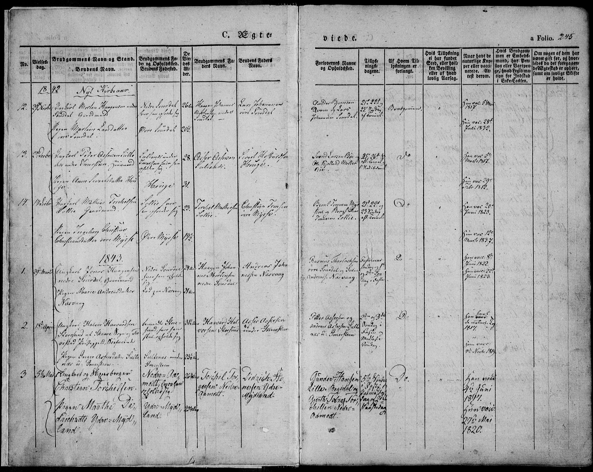 Sokndal sokneprestkontor, SAST/A-101808: Parish register (official) no. A 8.2, 1842-1857, p. 245