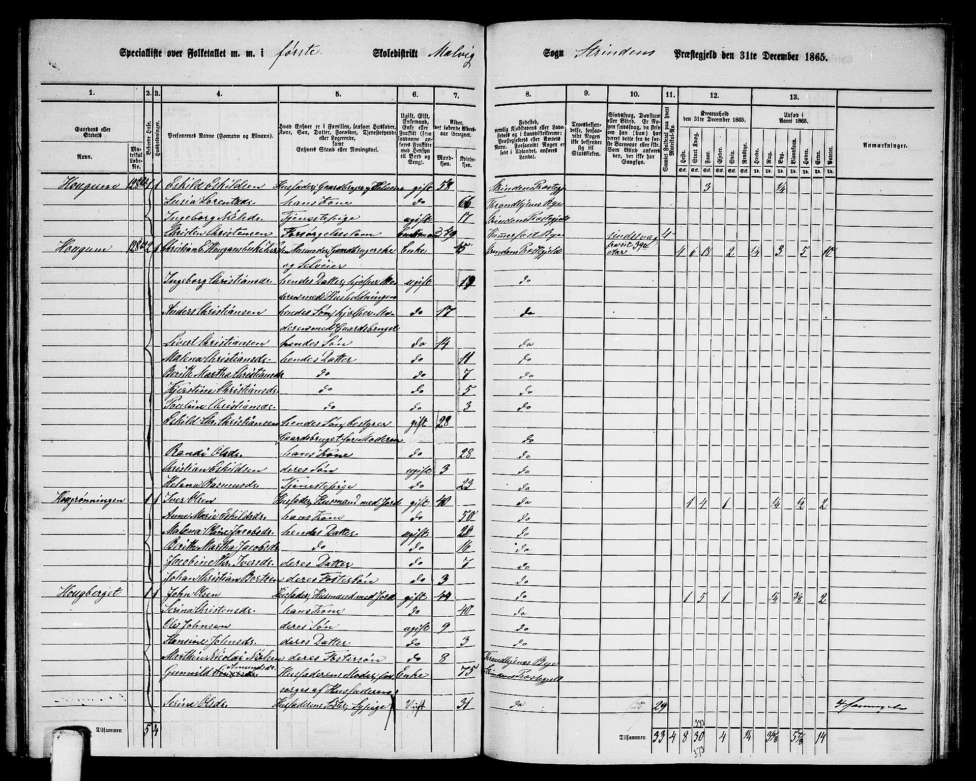 RA, 1865 census for Strinda, 1865, p. 200