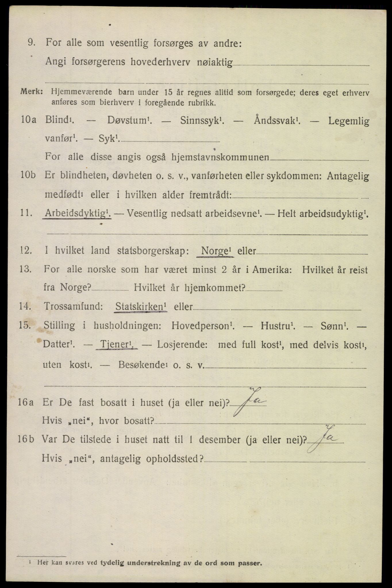 SAH, 1920 census for Øystre Slidre, 1920, p. 4020